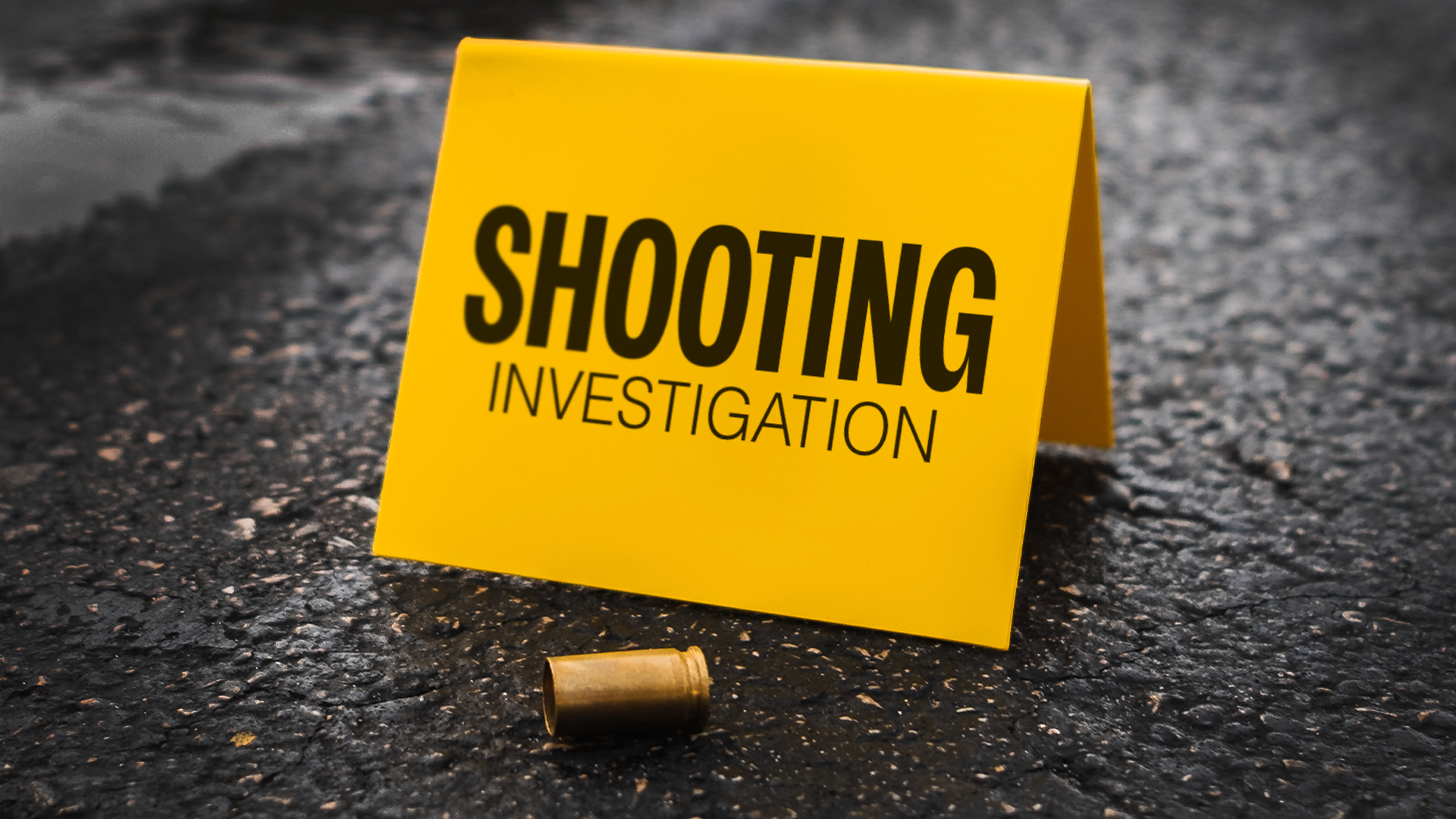 Shooting Investigation