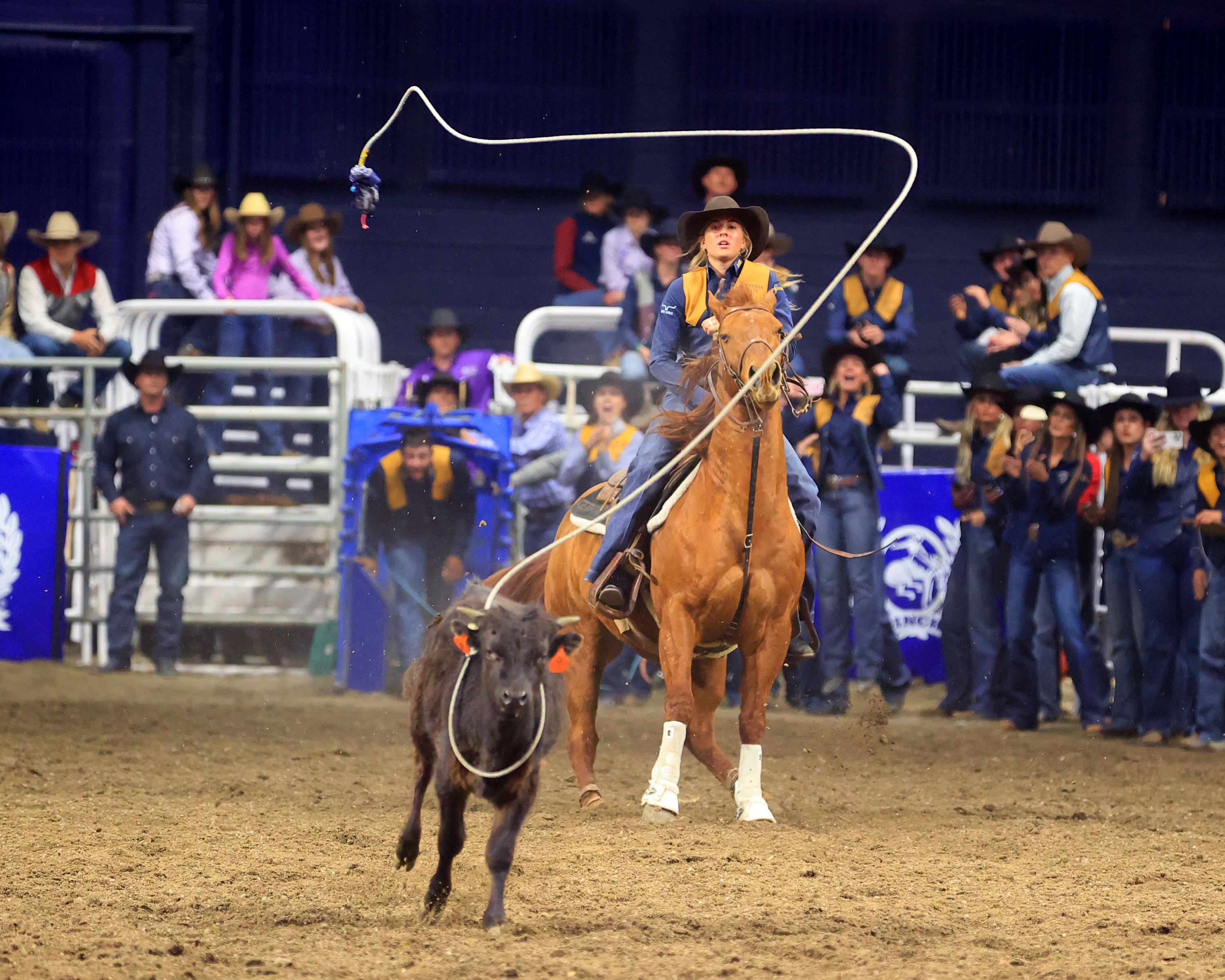 2026 Montana State Spring Rodeo