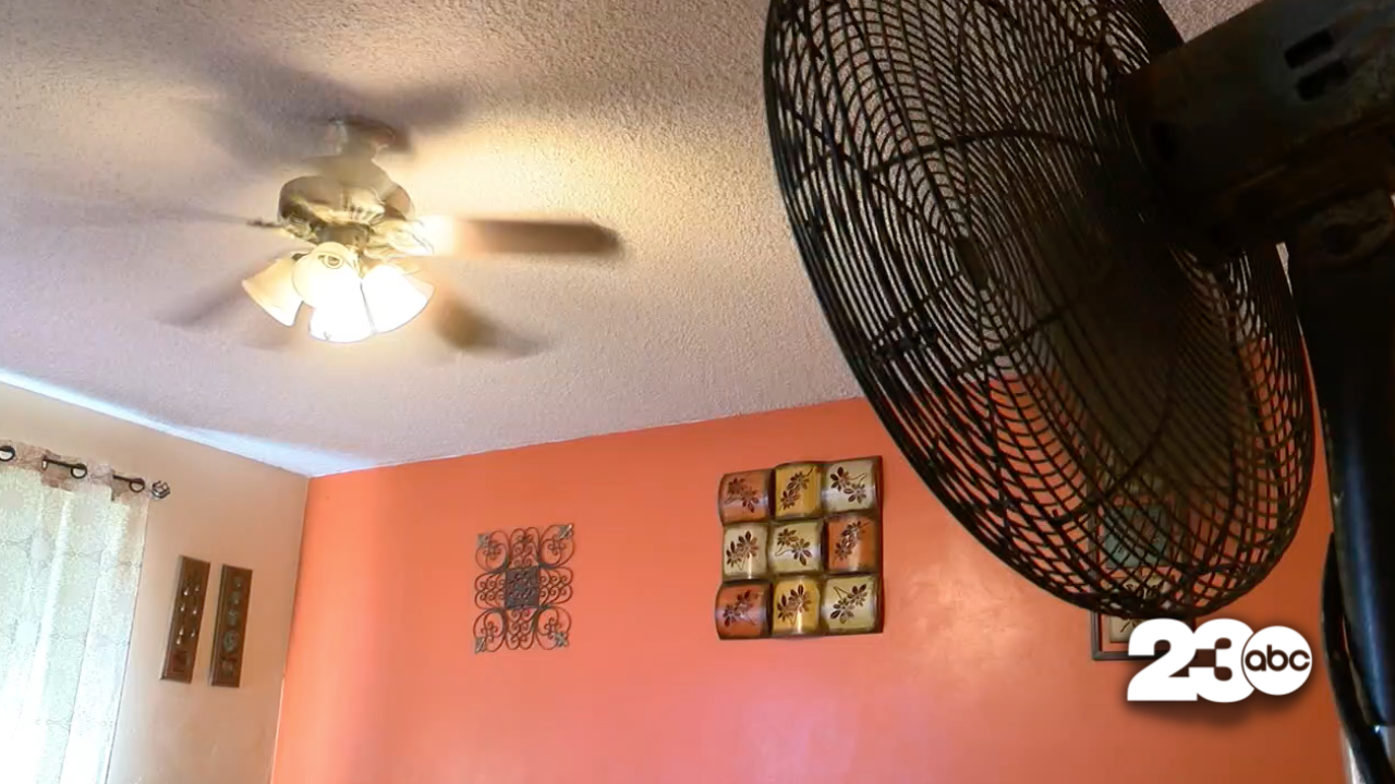 Ceiling Fan (FILE)