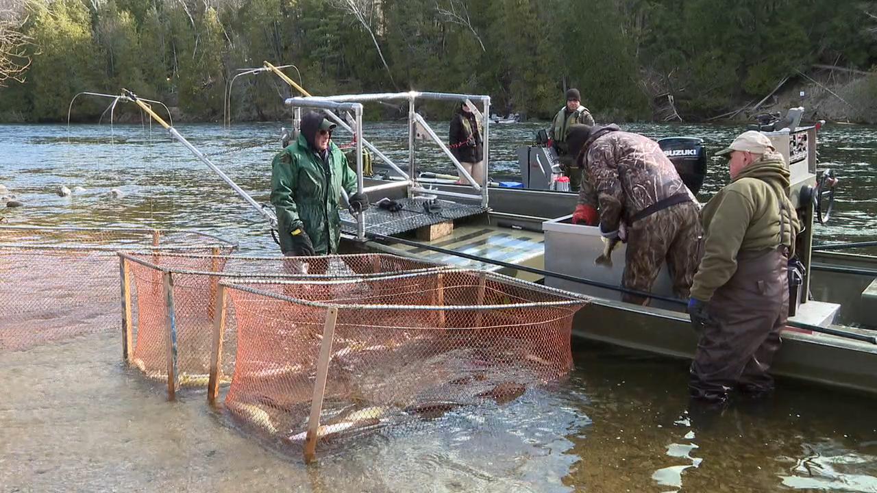 Michigan DNR