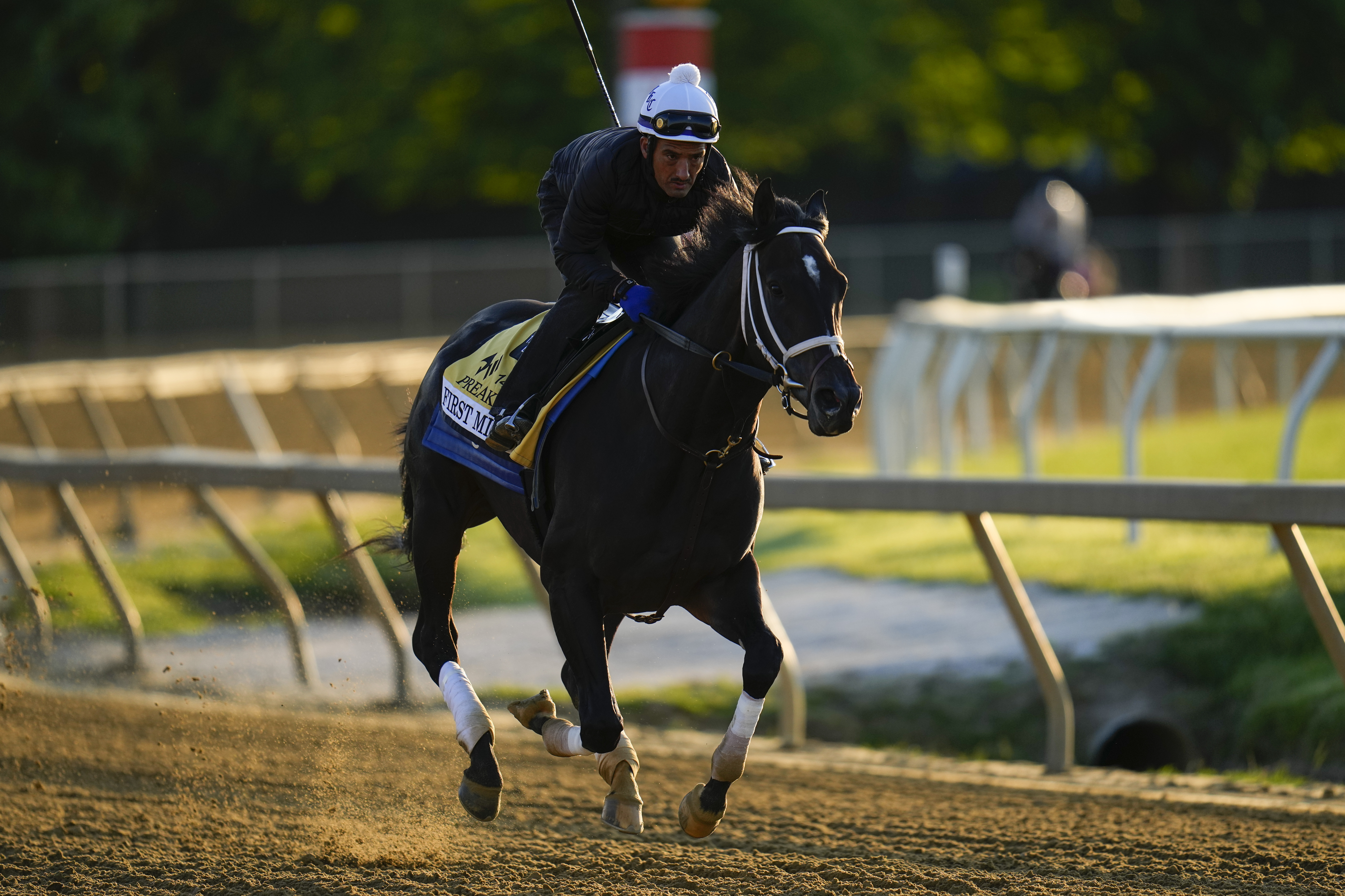 Preakness Horse Racing
