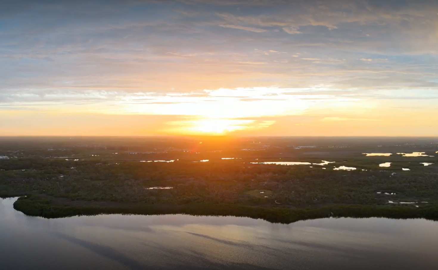 Town 'n' Country: Tampa's hidden gem of diversity and pride