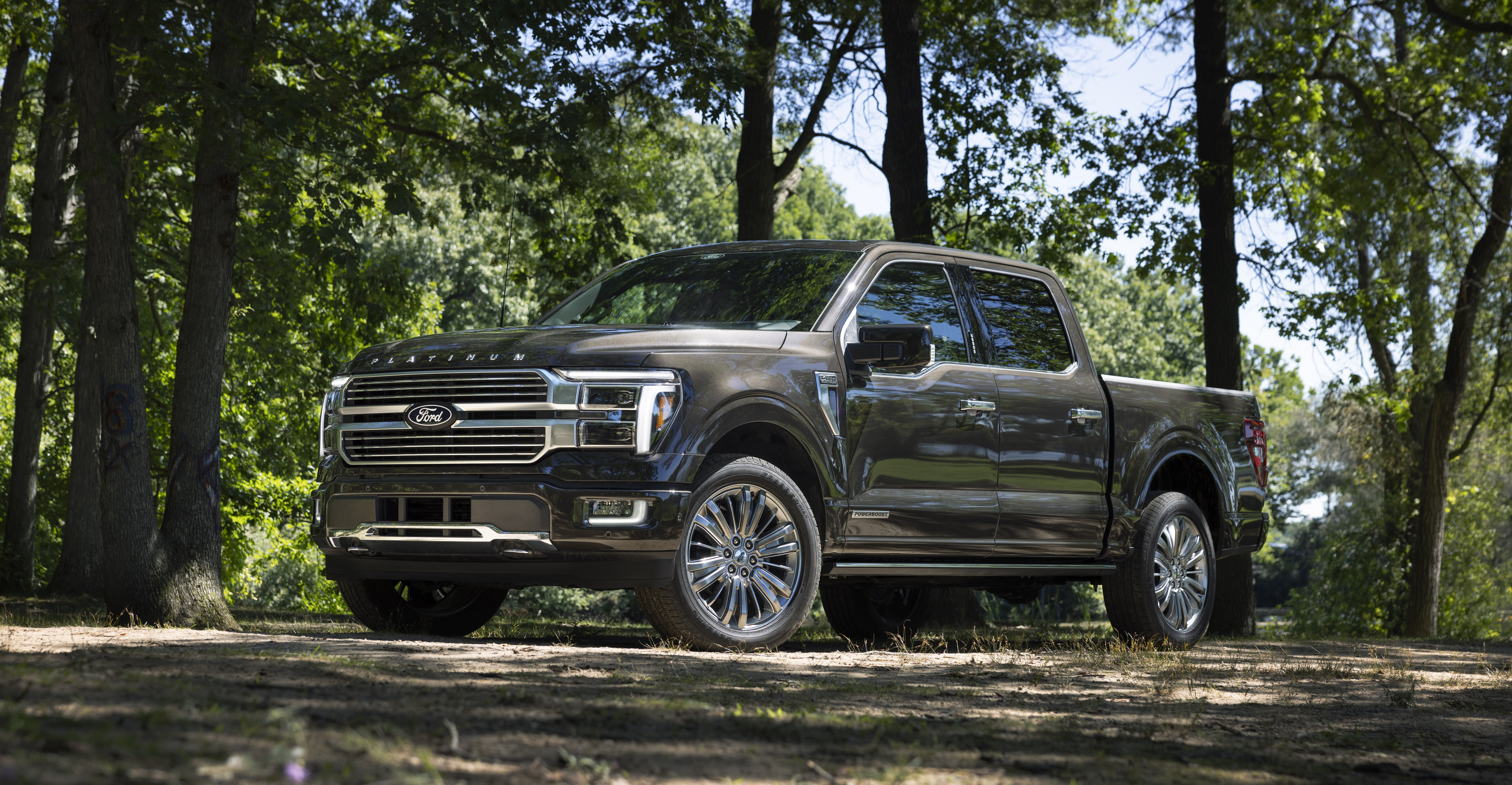2024 Ford F-150 Platinum_01.jpg