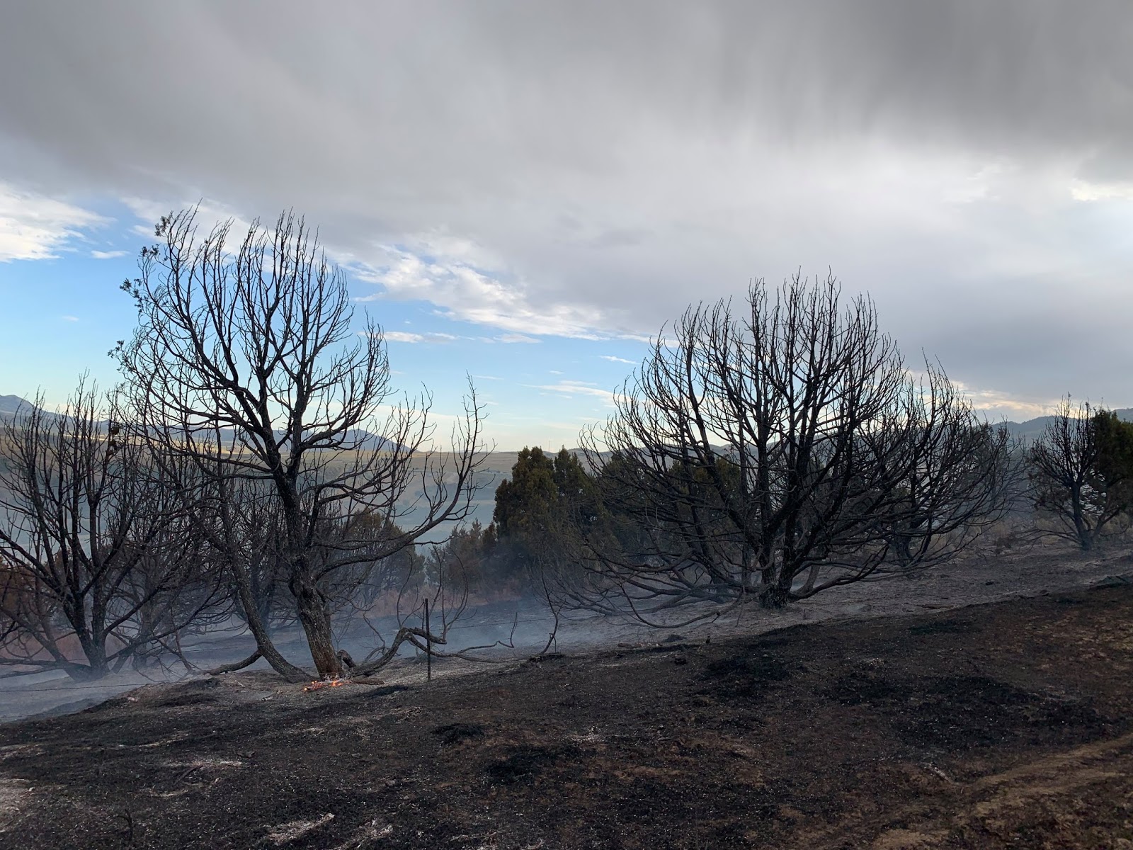 malad fire.jpg