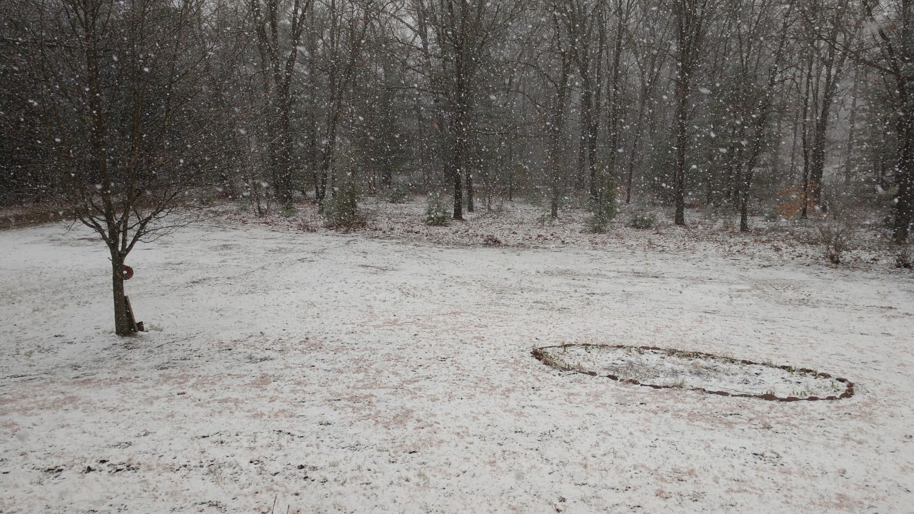 Snowy.jpg
