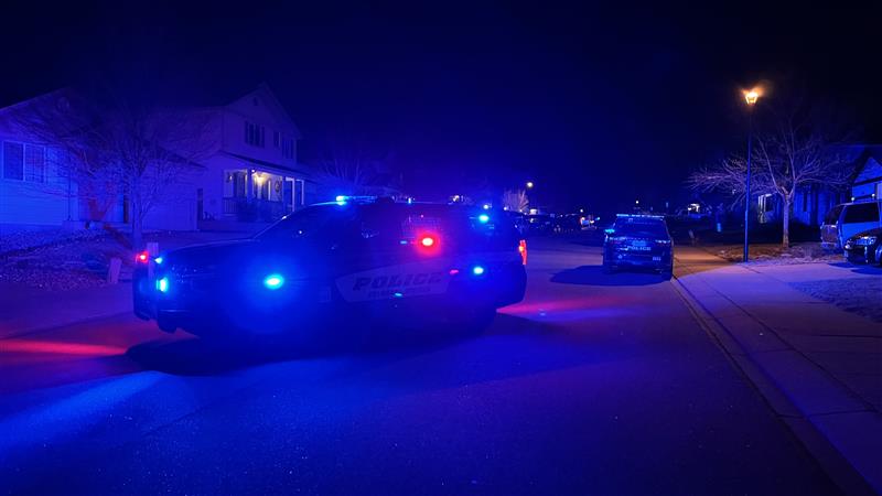 Audubon Shelter In Place