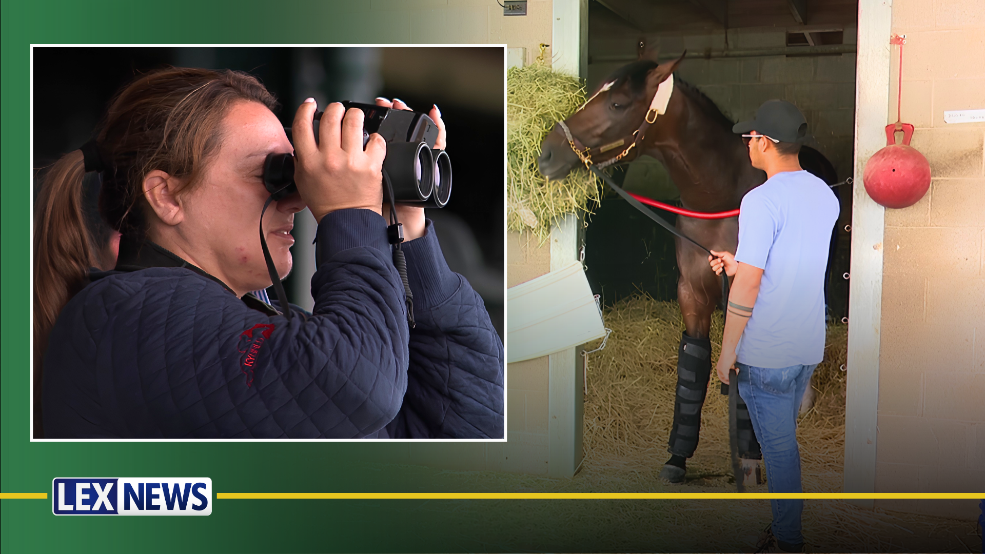 DeVaux's Golden Tempo completes final workout ahead of Belmont Stakes
