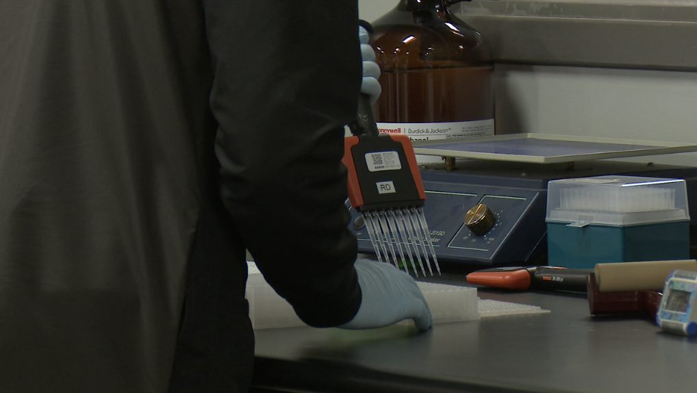 Oral Fluid Testing at Forensic Fluids in Kalamazoo