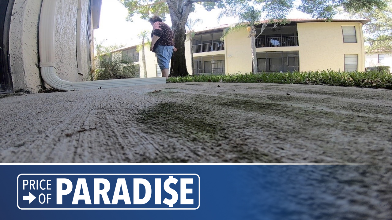 abcactionnews.com - Stassy Olmos - Florida receivership currently handling 8K claims, 2K lawsuits in homeowner insurance crisis