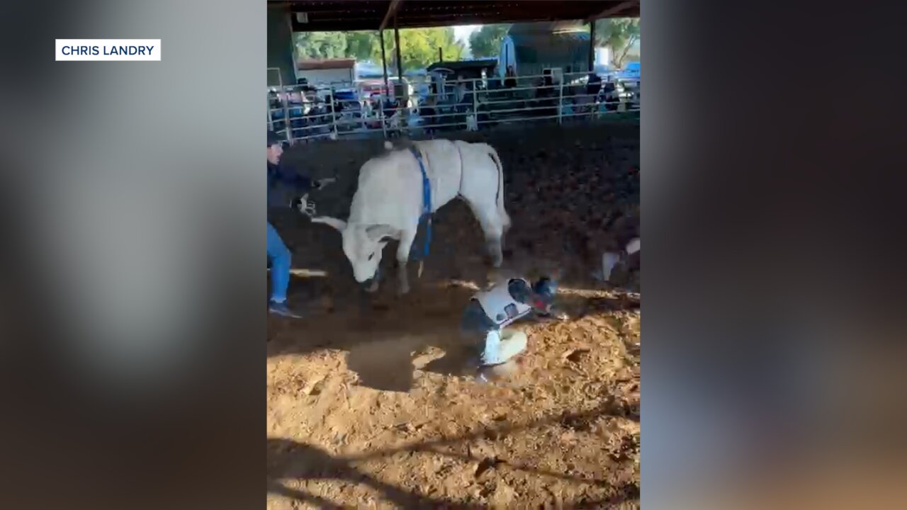 Bull riding 