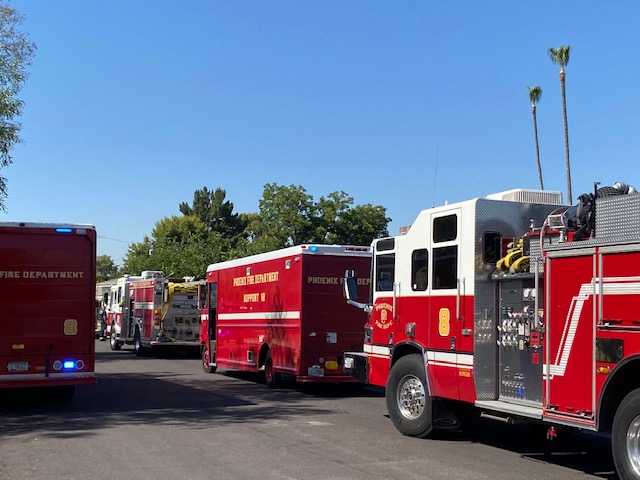 28th street and campbell tree rescue