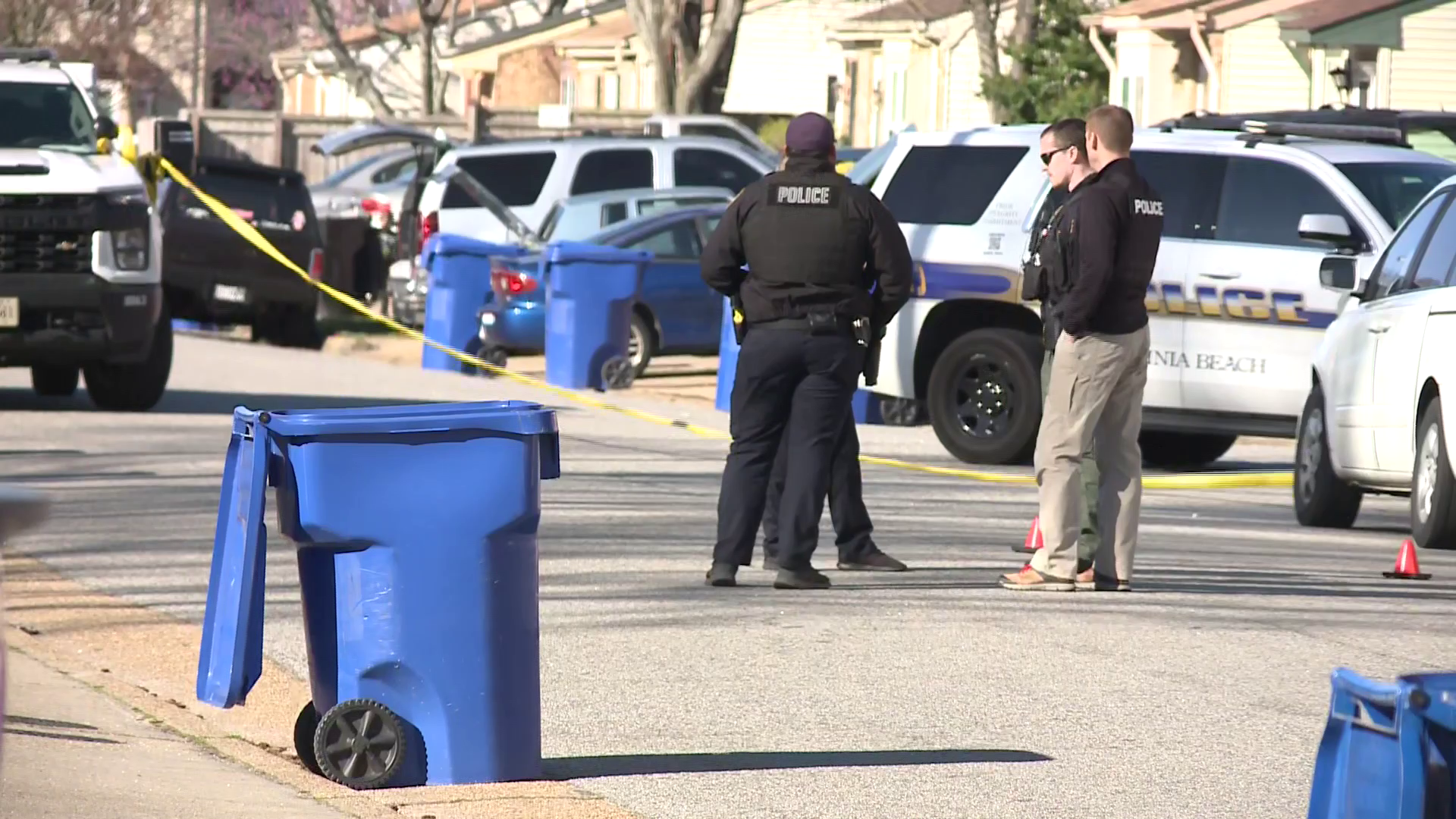 Pit bull shot by police after attacking juvenile in Virginia Beach: Official