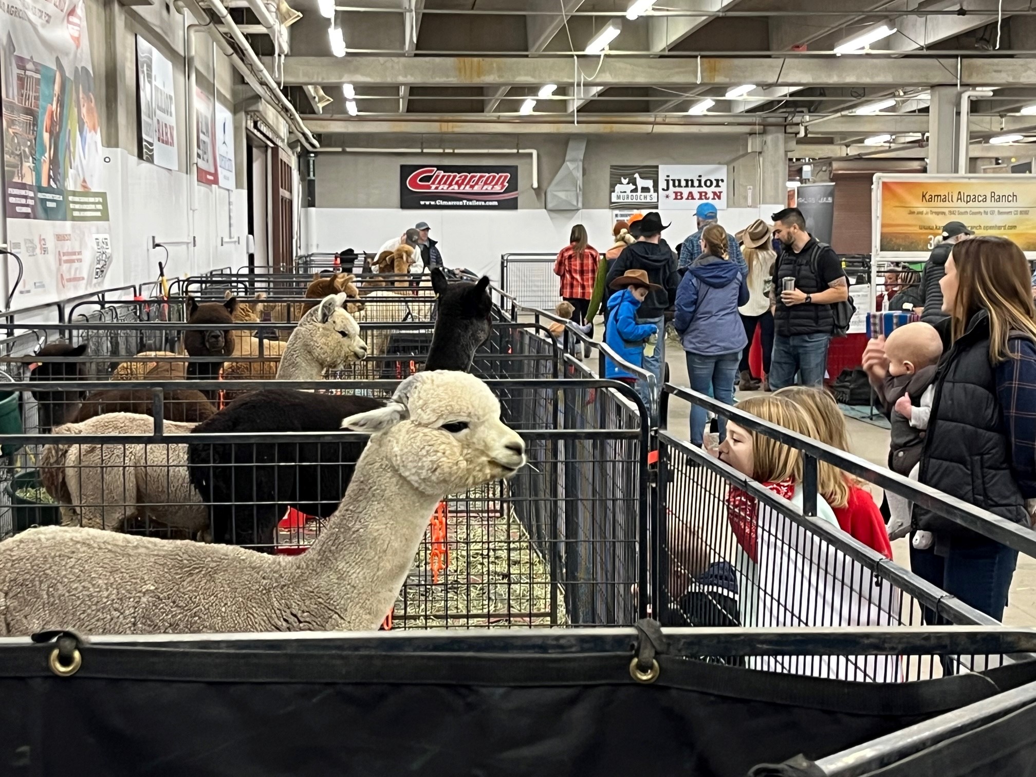National Western Stock Show