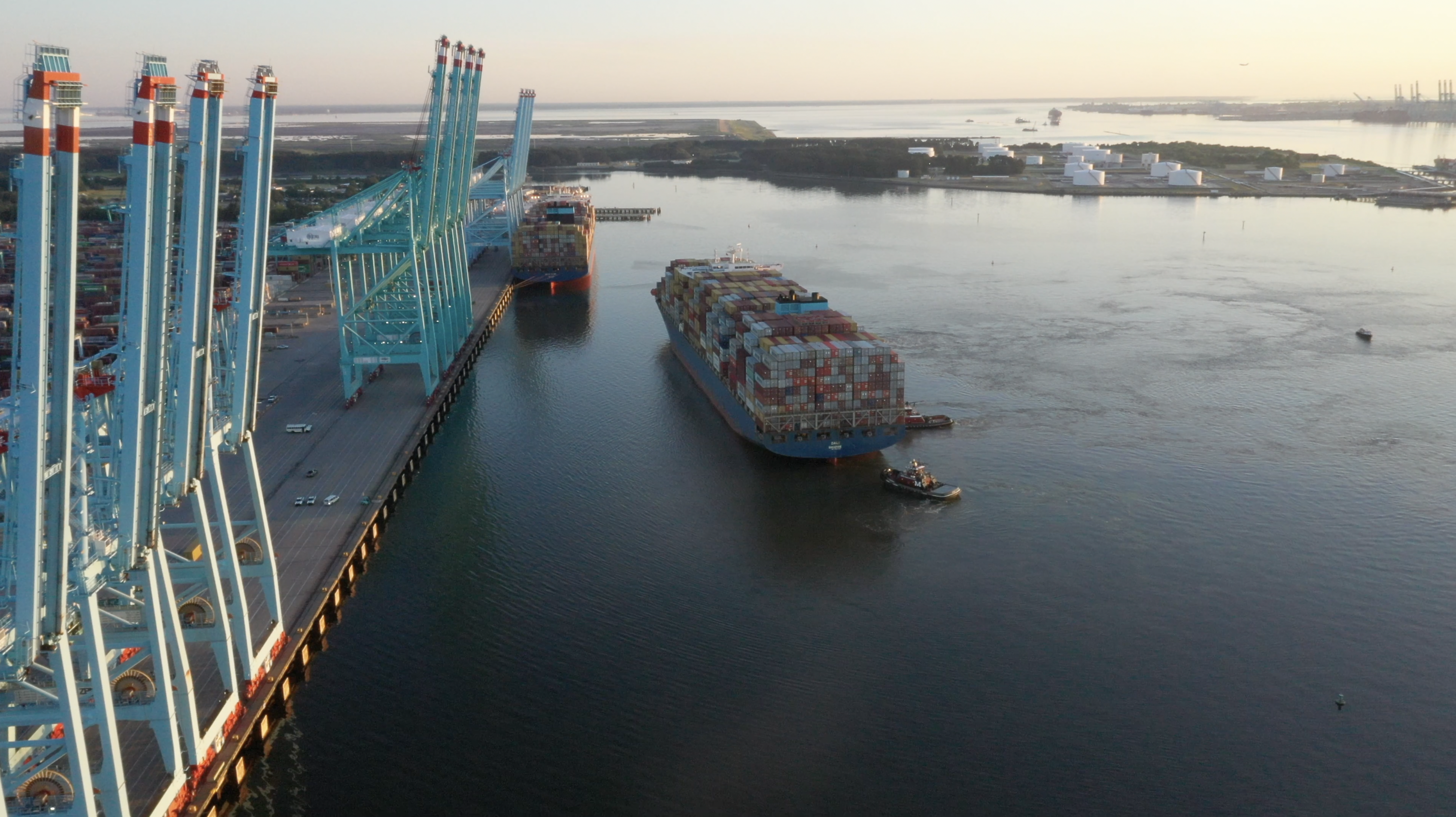 Dali docking