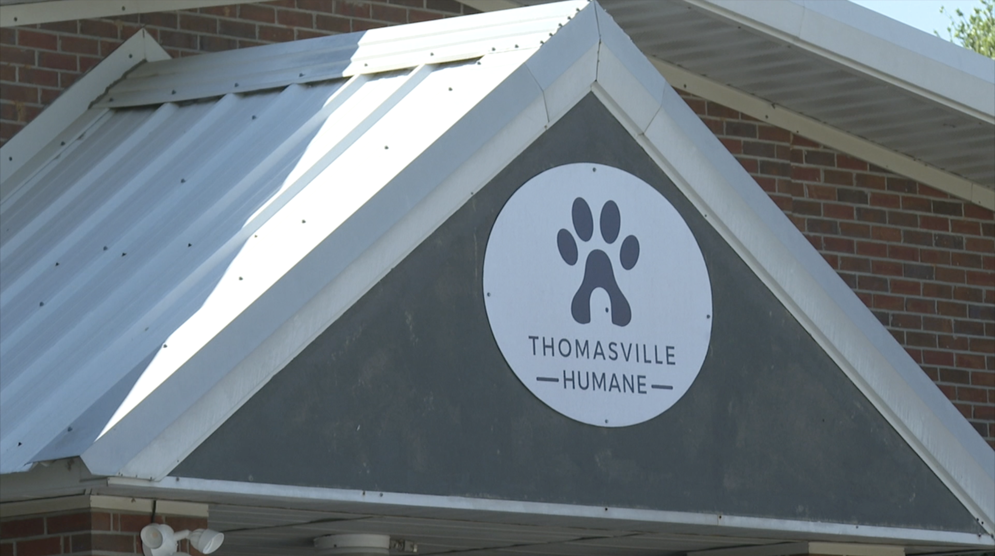 With over 50,000 acres burned in South Georgia, Thomasville Humane is pausing owner surrenders and asking the community to foster animals to make room for those displaced by the wildfires.