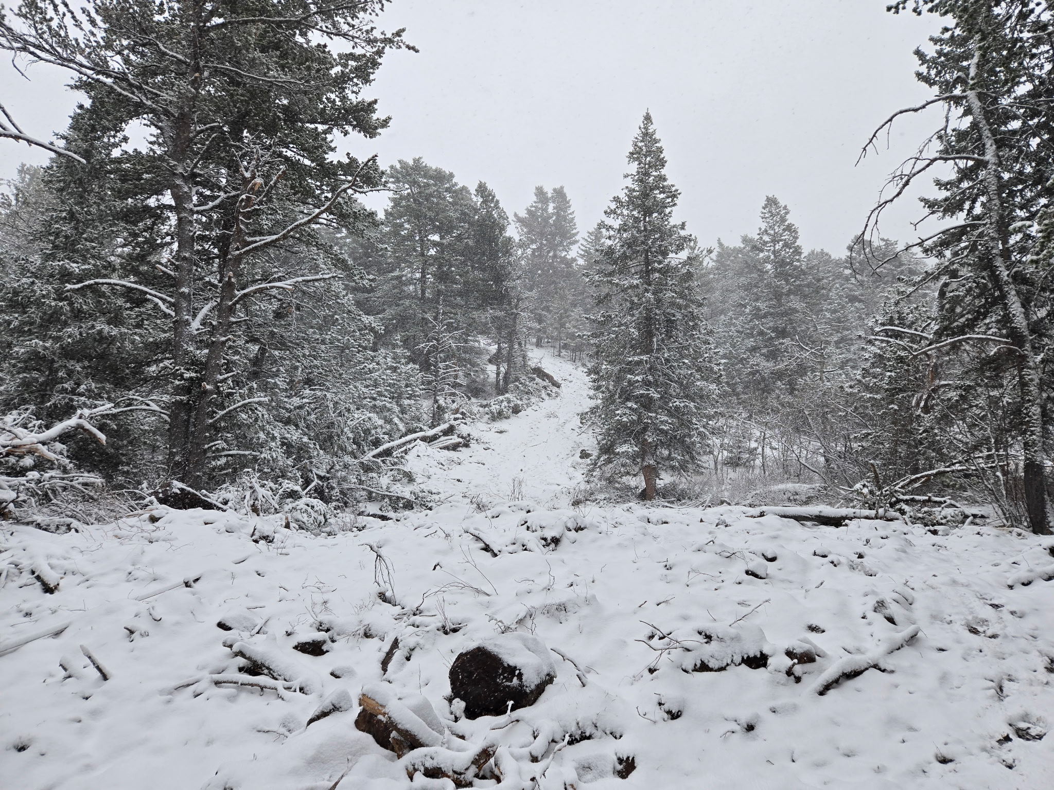 east side fire snow.jpg