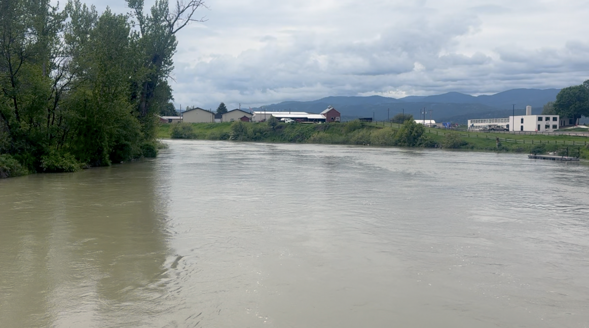 Flathead Water Safety