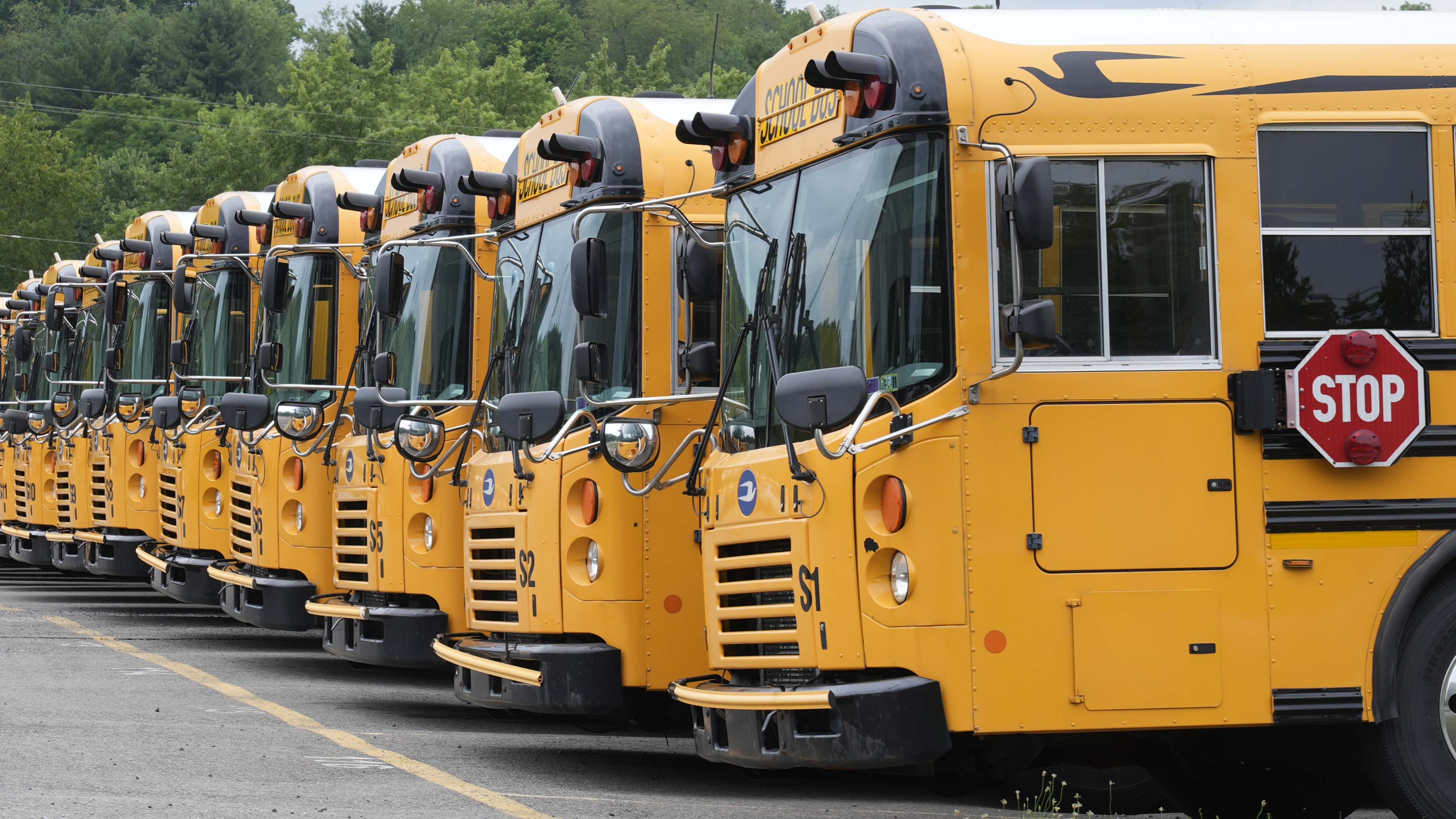 School Busses