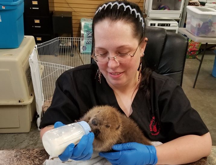baby wildlife2.jpg