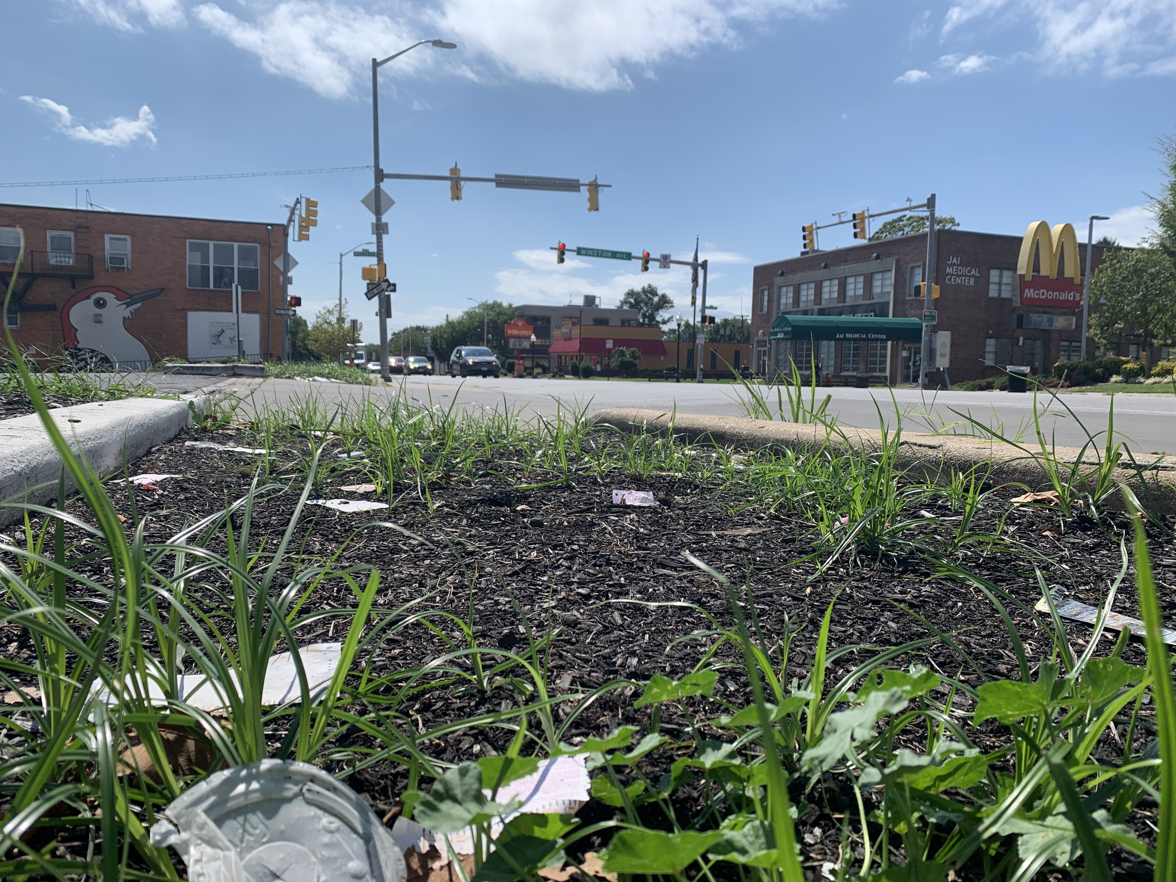 “Bucking up to improve business along York Road”