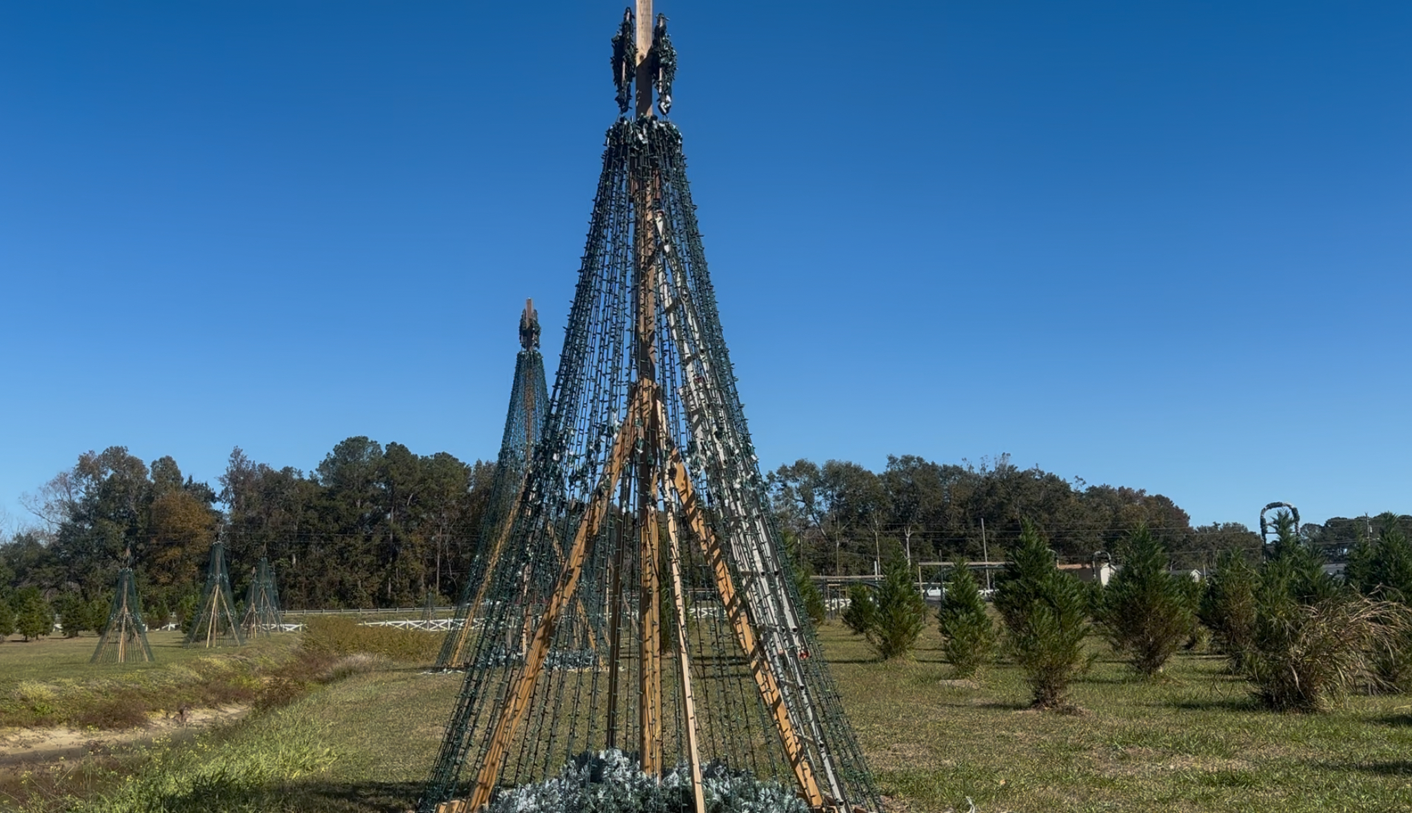 ALLISON CHRISTMAS LIGHTS 