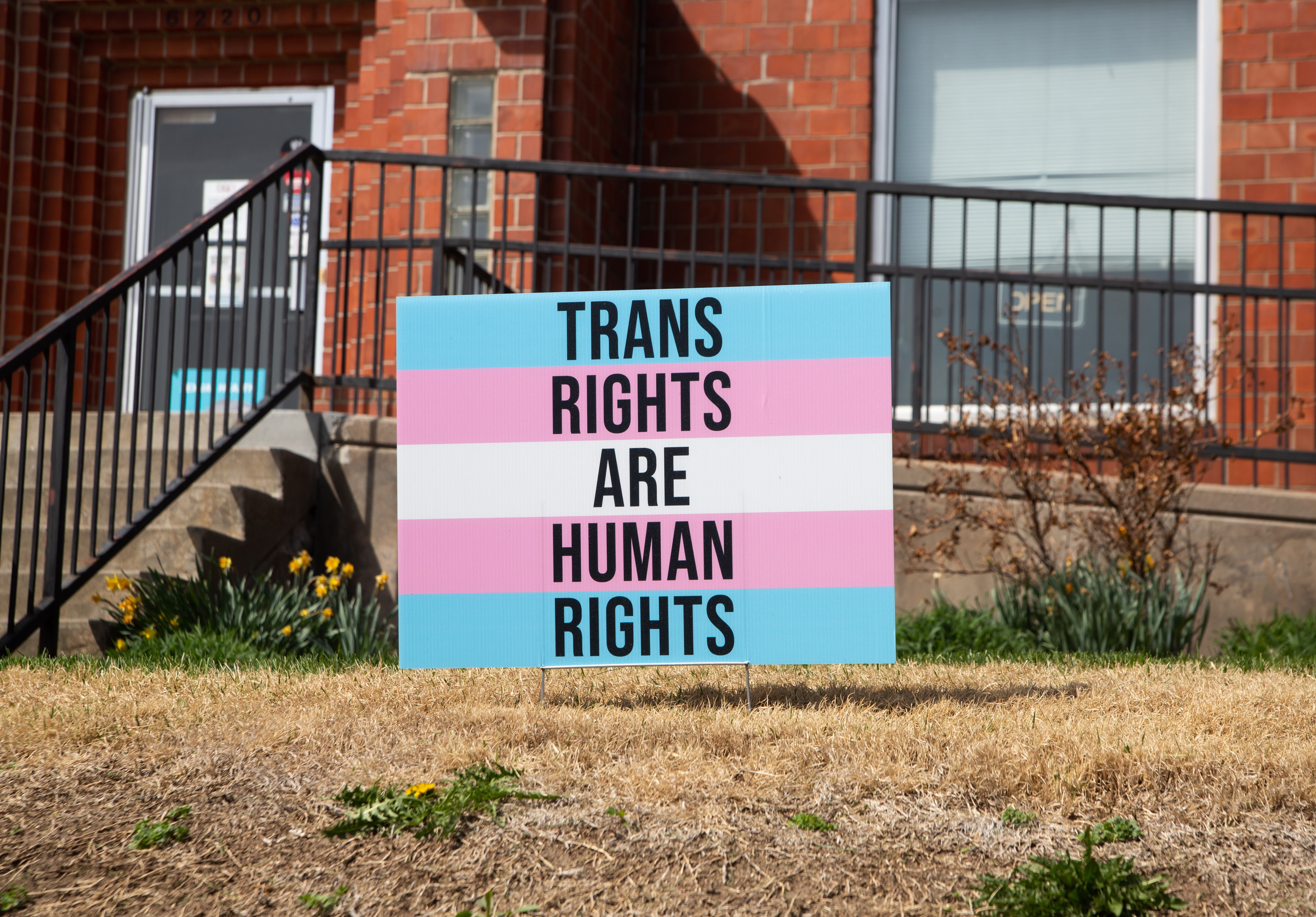 Trans Rights Sign