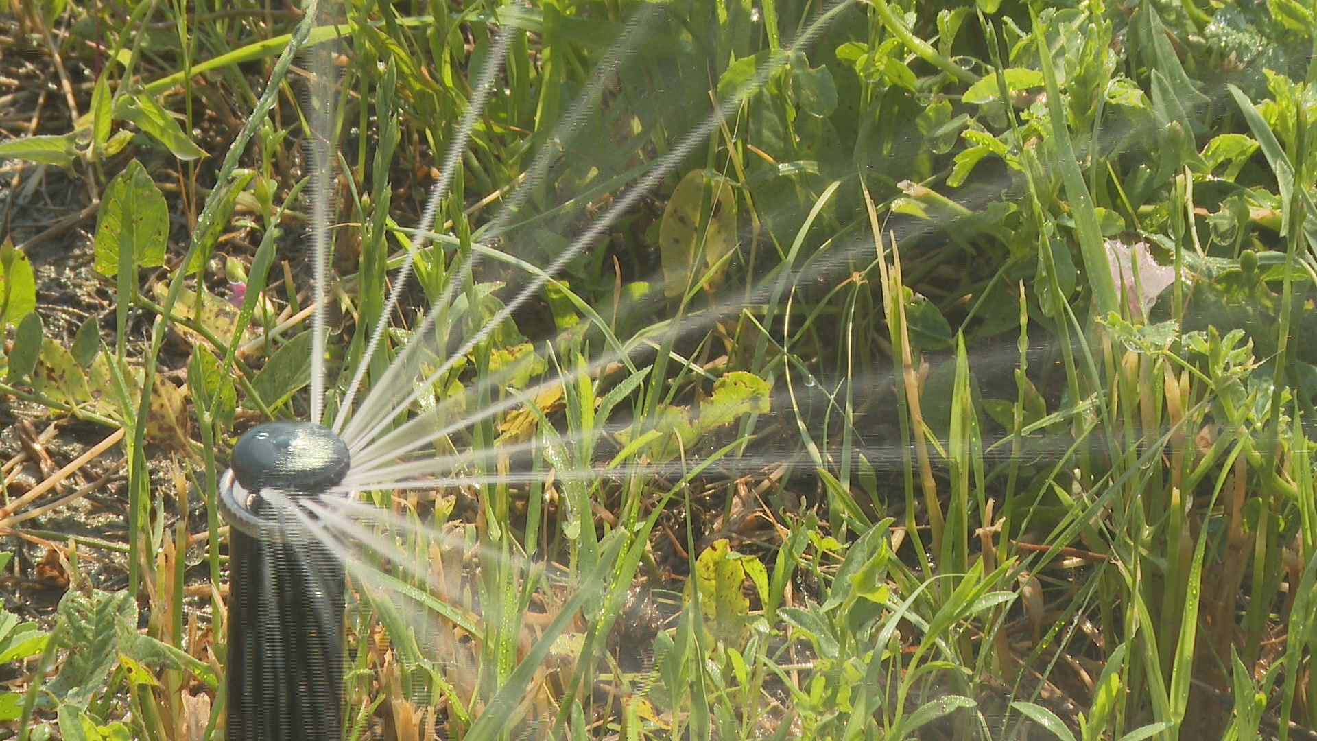 City of Fountain short on water supply, impacts future developments