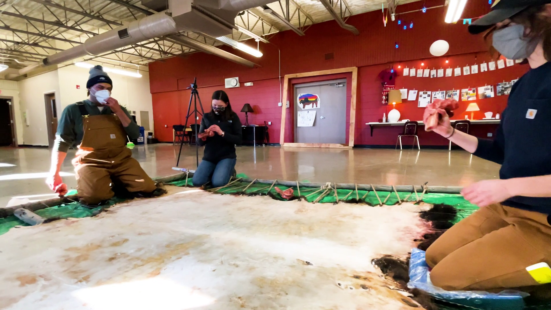 Blackfeet Tribe is teaching bison hide tanning to the next generation