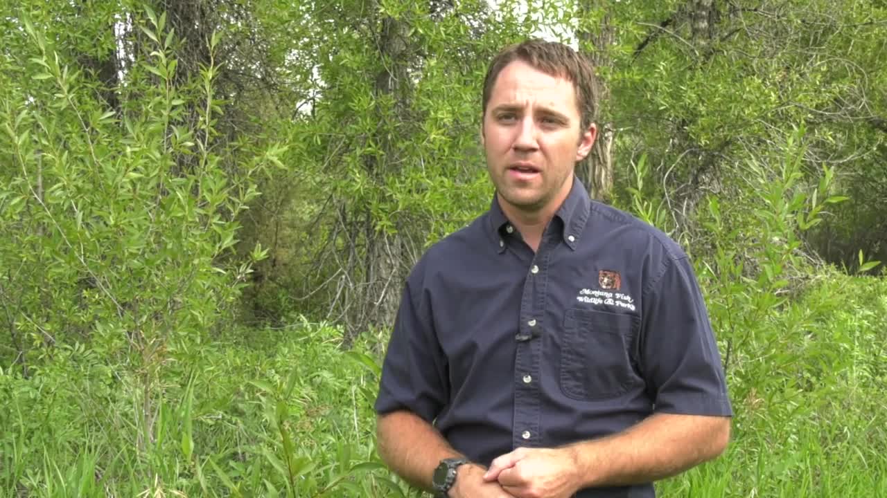 Poster image (14).jpg