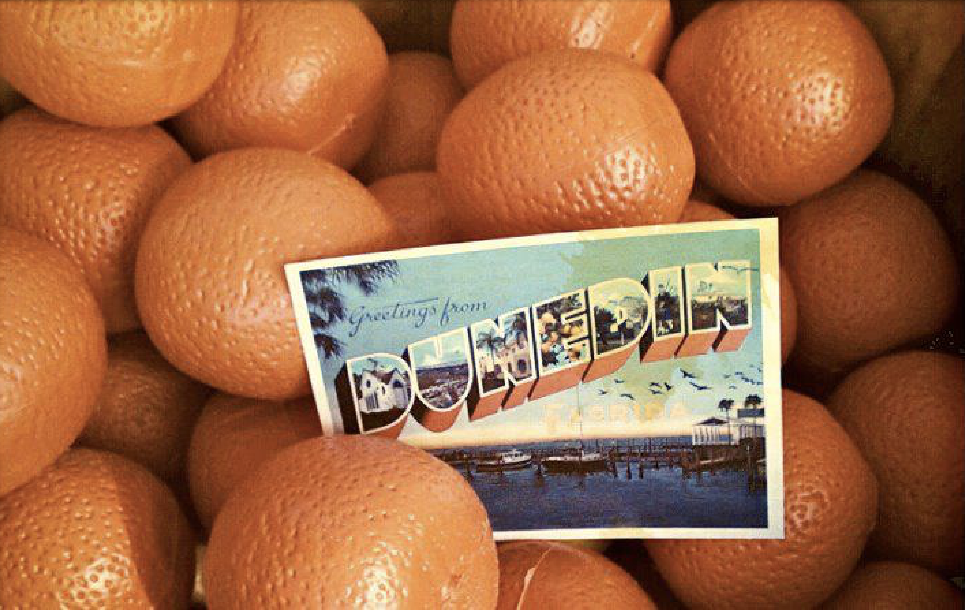 Dunedin Orange Festival.png