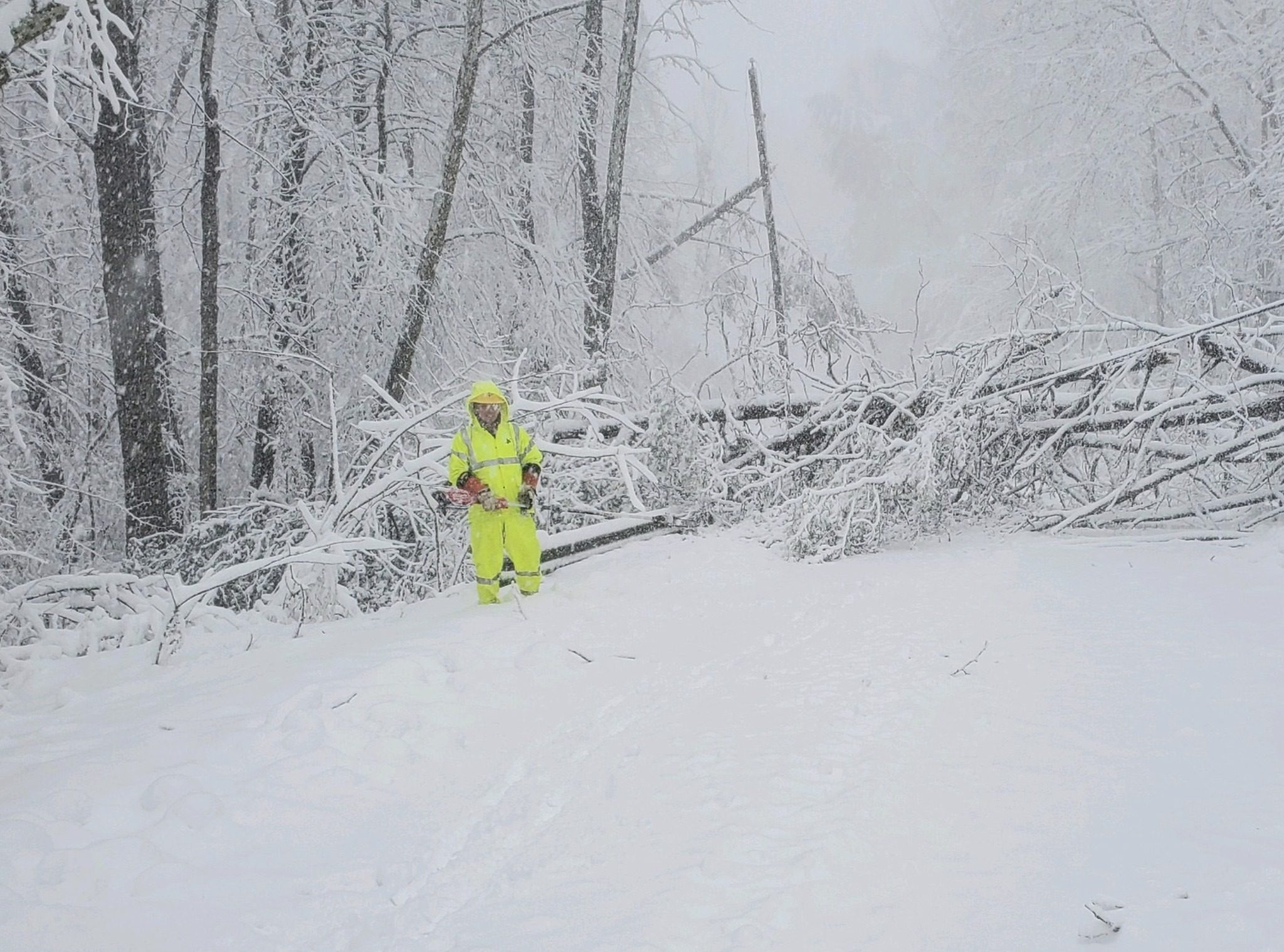 Rappahannock Electric Cooperative.jpg