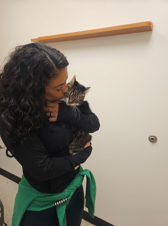 Military family reunited with cat lost in restricted area during move