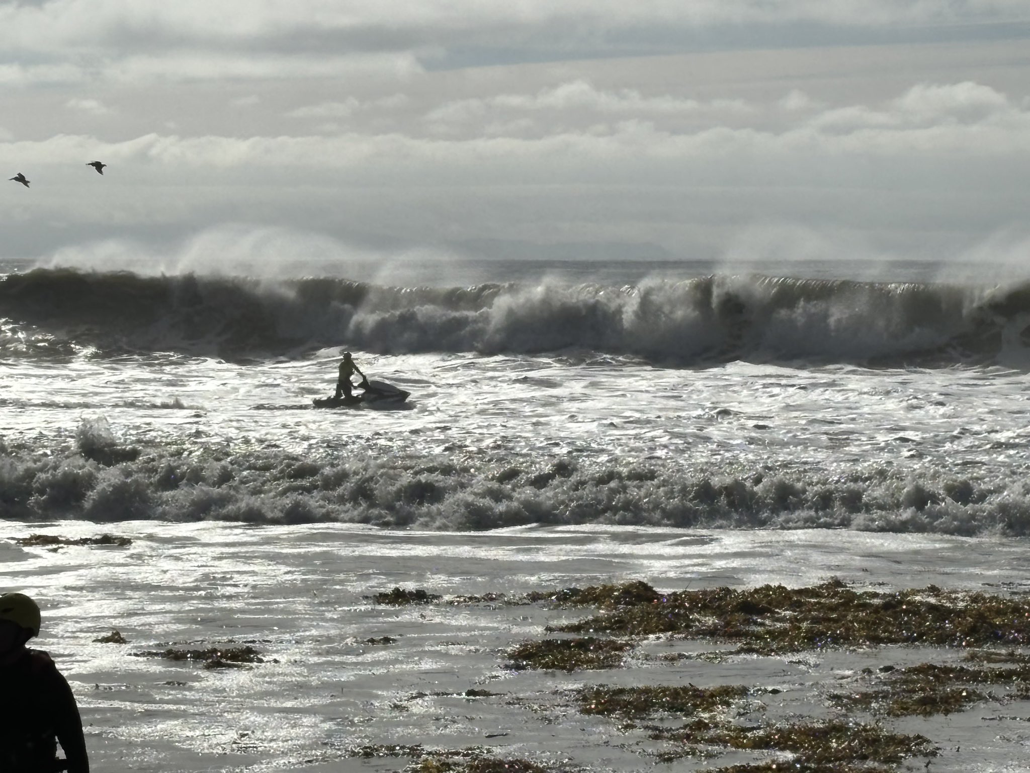 del playa surf rescue 2.jpg