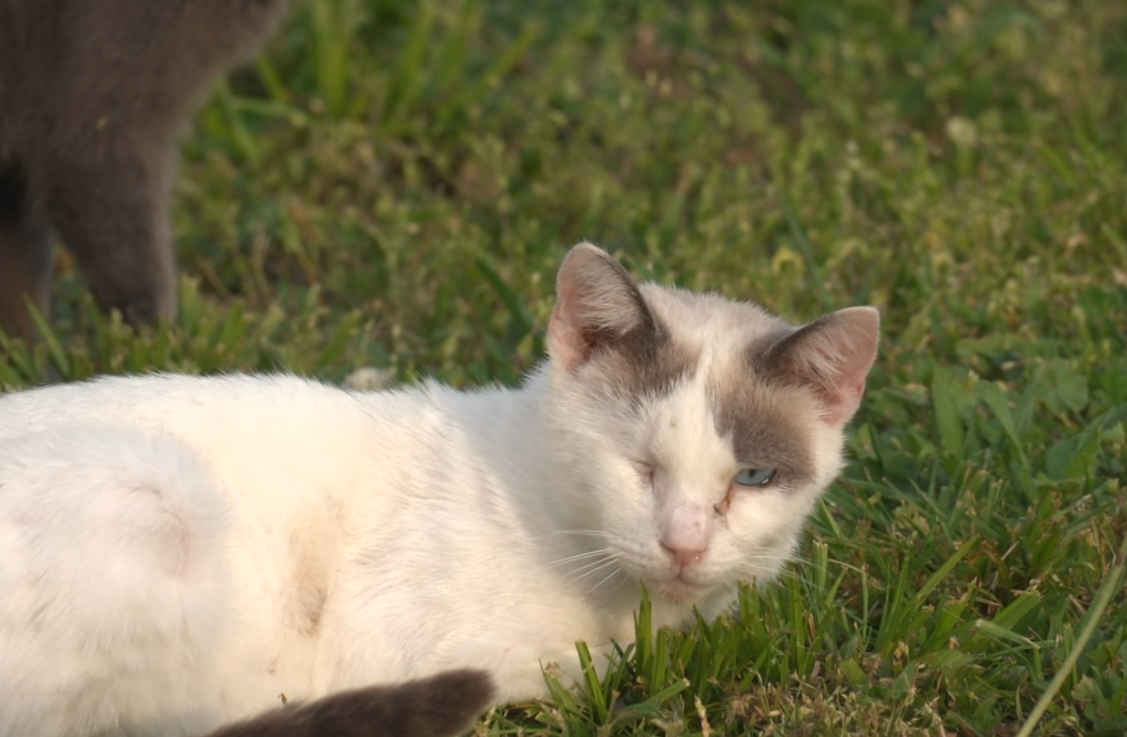 Screenshot 2026-04-16 012209.png