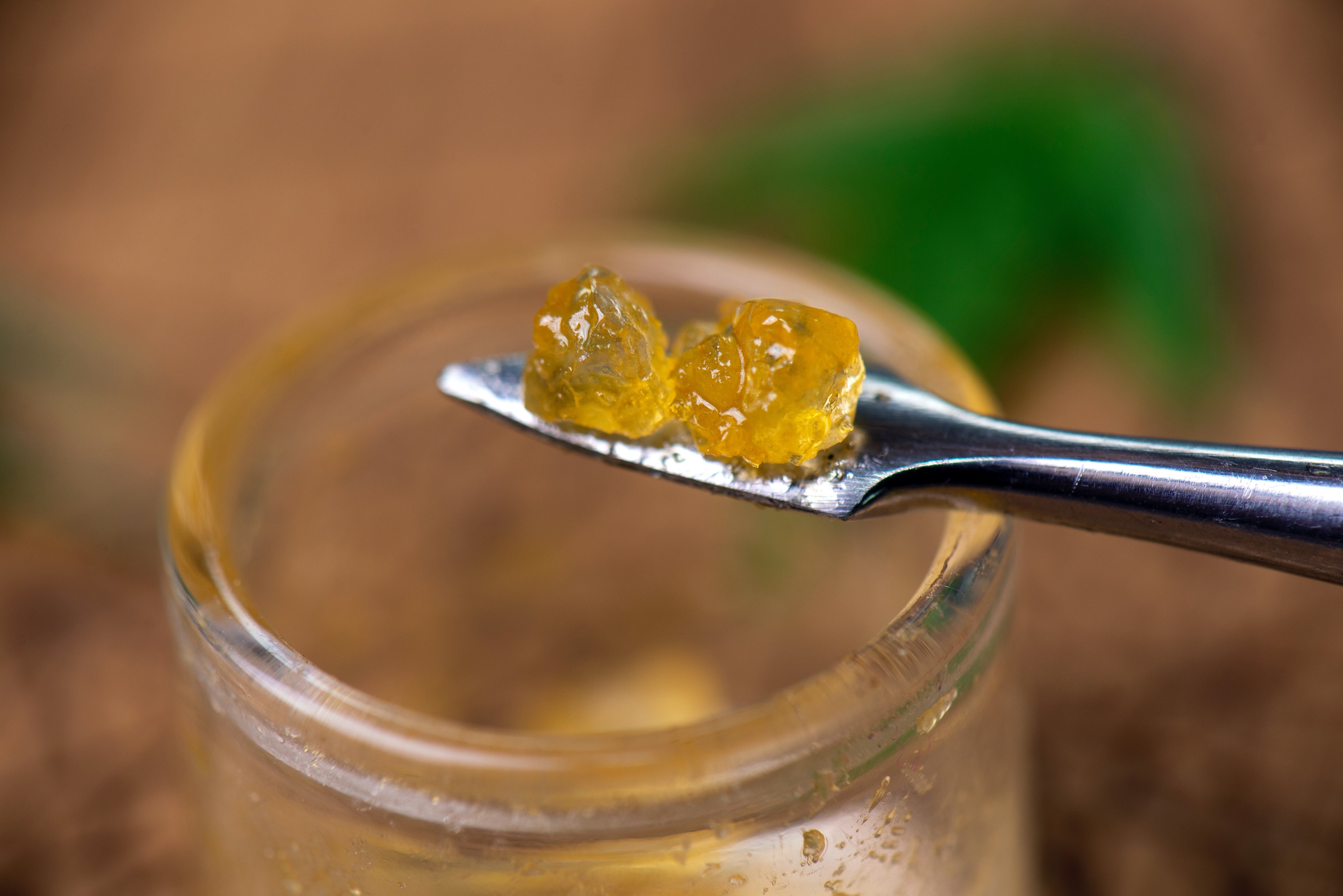 Denver nonprofit warns students, parents about dangers of high-potency THC - Vimarsana News