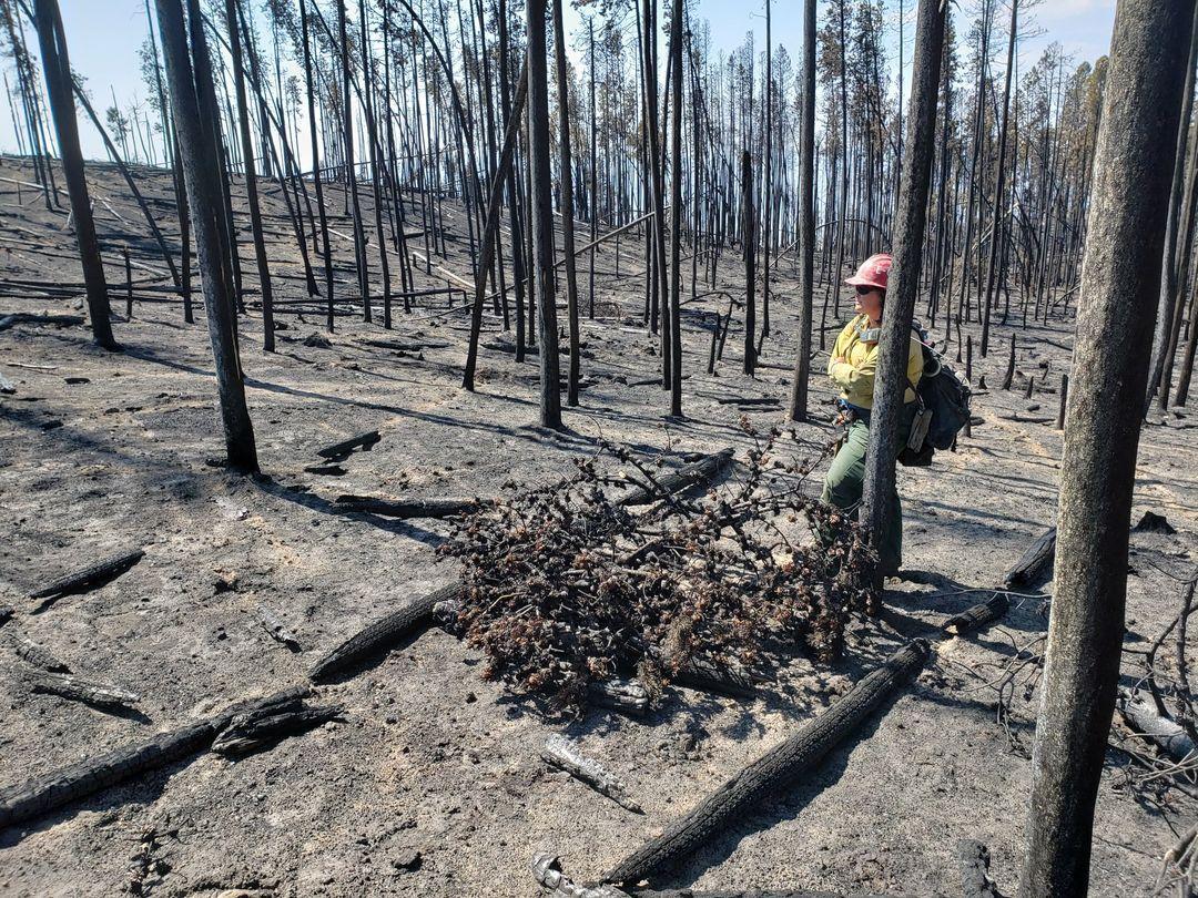 Division C Supervisor, Krisen "K.T." Thomason at Black Mountain Fire September 2021