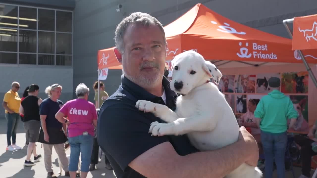 Richmond Animal League waives adoption fees at Henrico Walmart event during National Pet Month