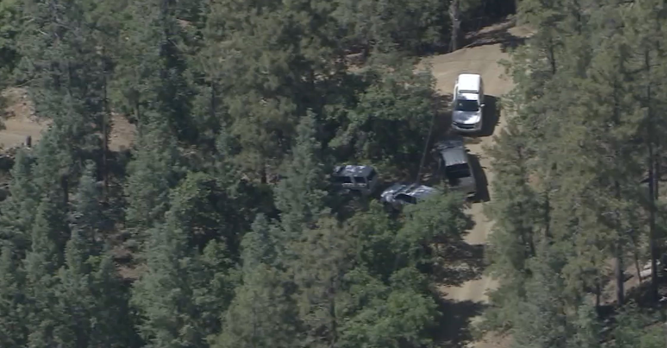 Prescott bear attack