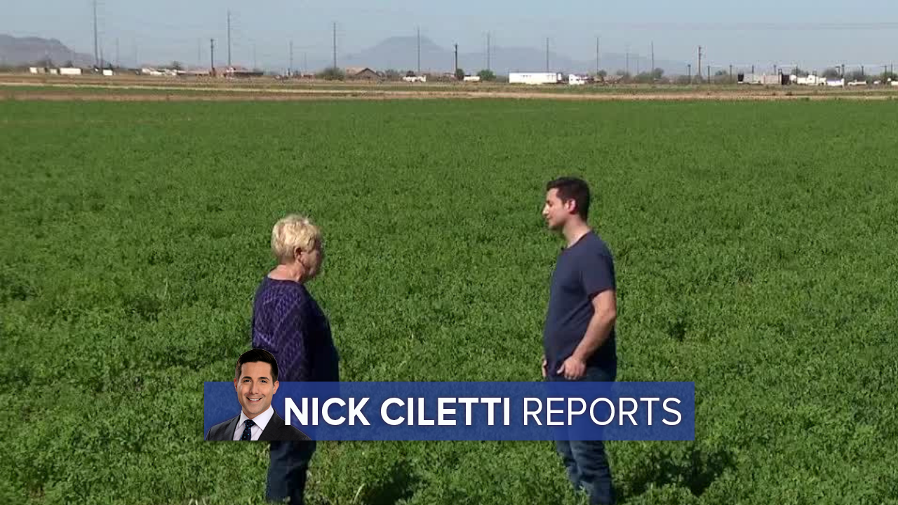 Nick Ciletti (1).png