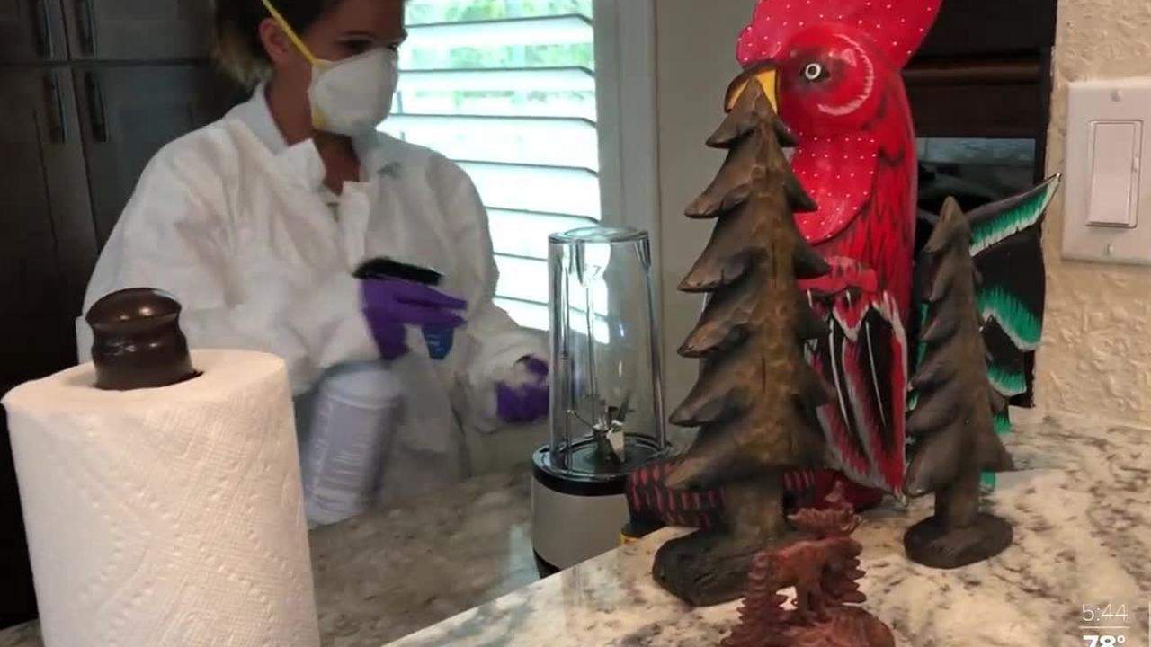 wptv-cleaning-cleaning-professional.jpg