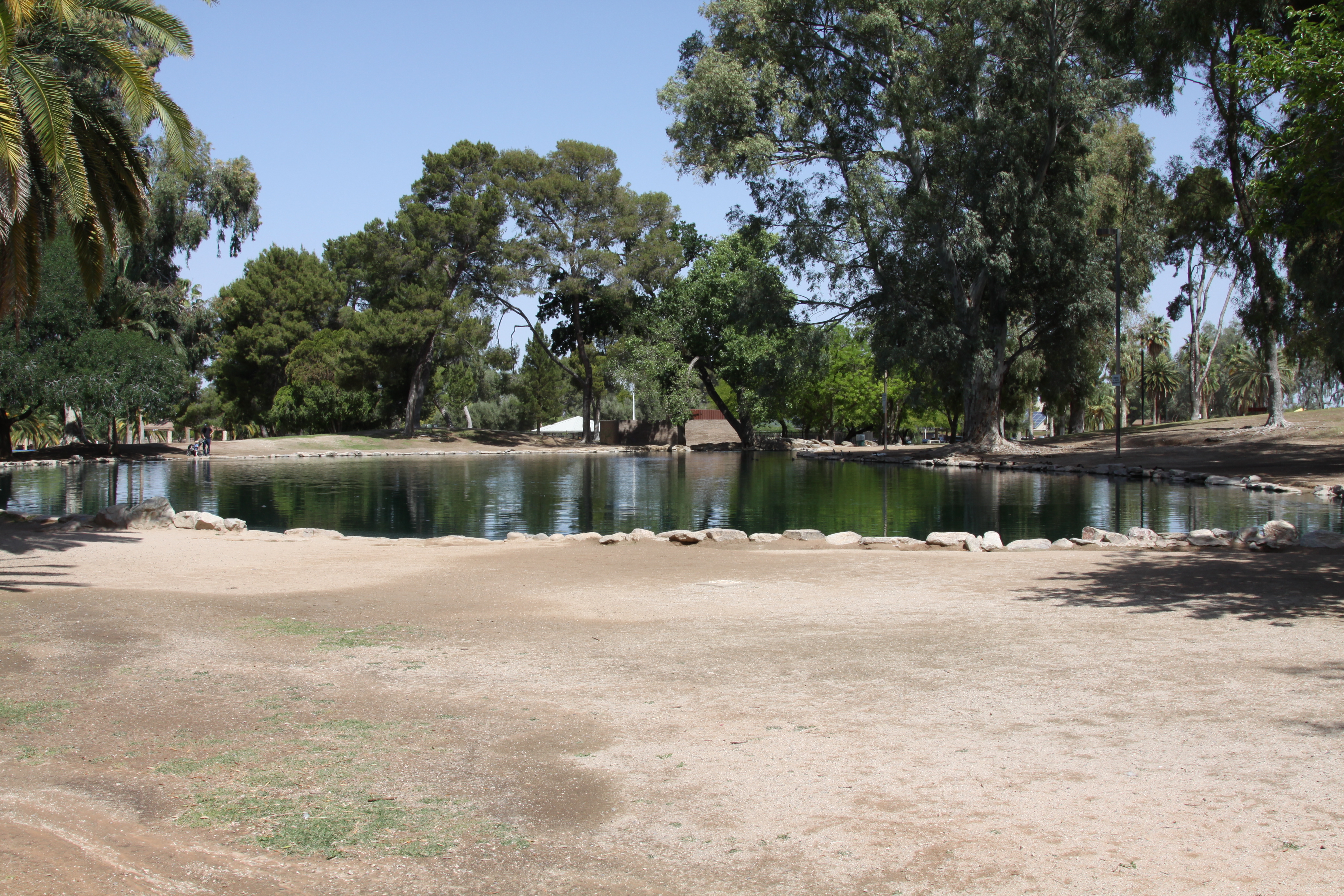 REID PARK DUCK POND