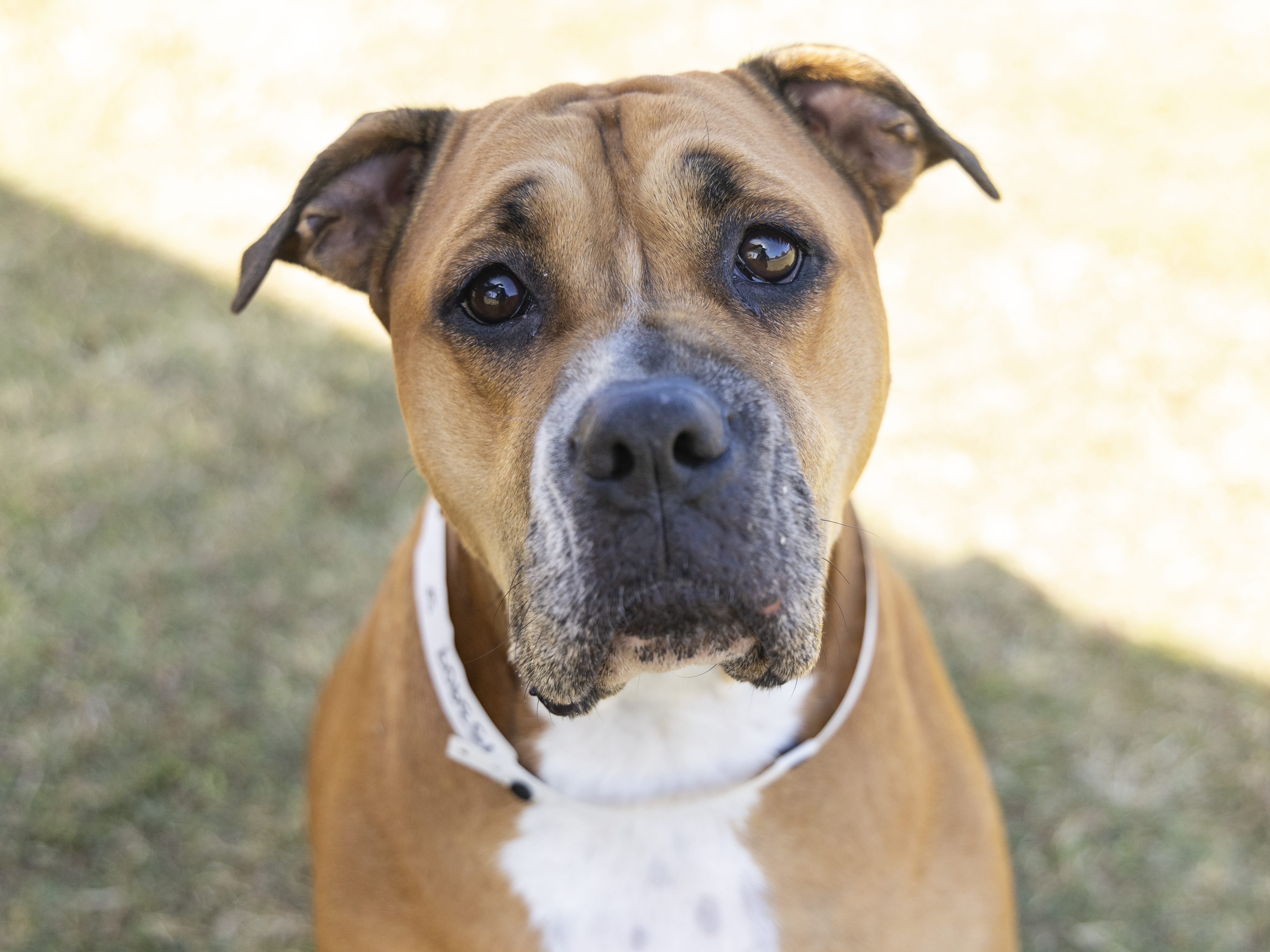 753909 longtimer debra from HR.jpg