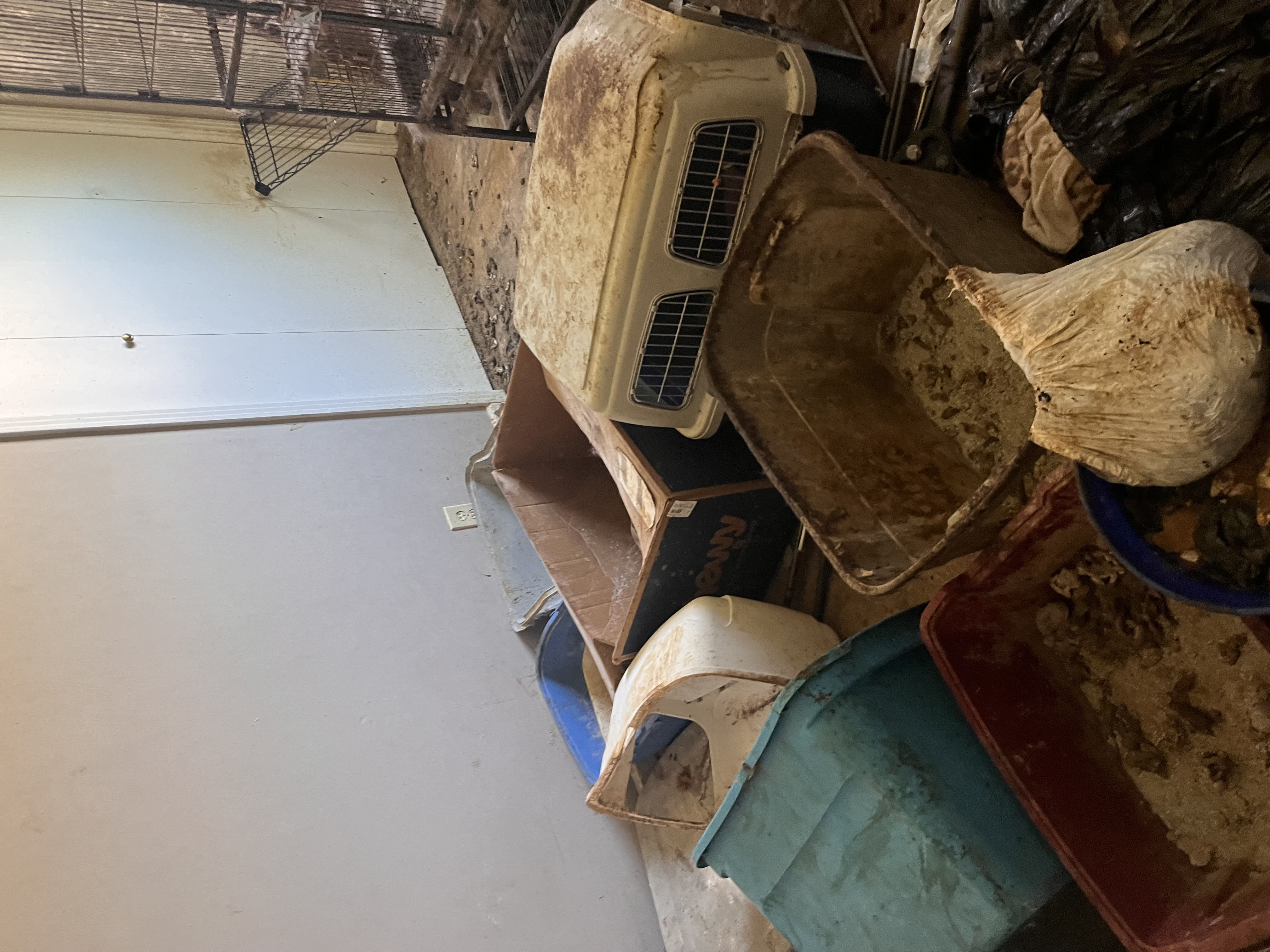 Kennels in hoarding house