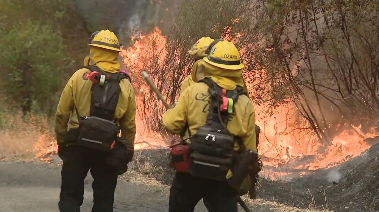 2020 Zogg Fire (FILE)
