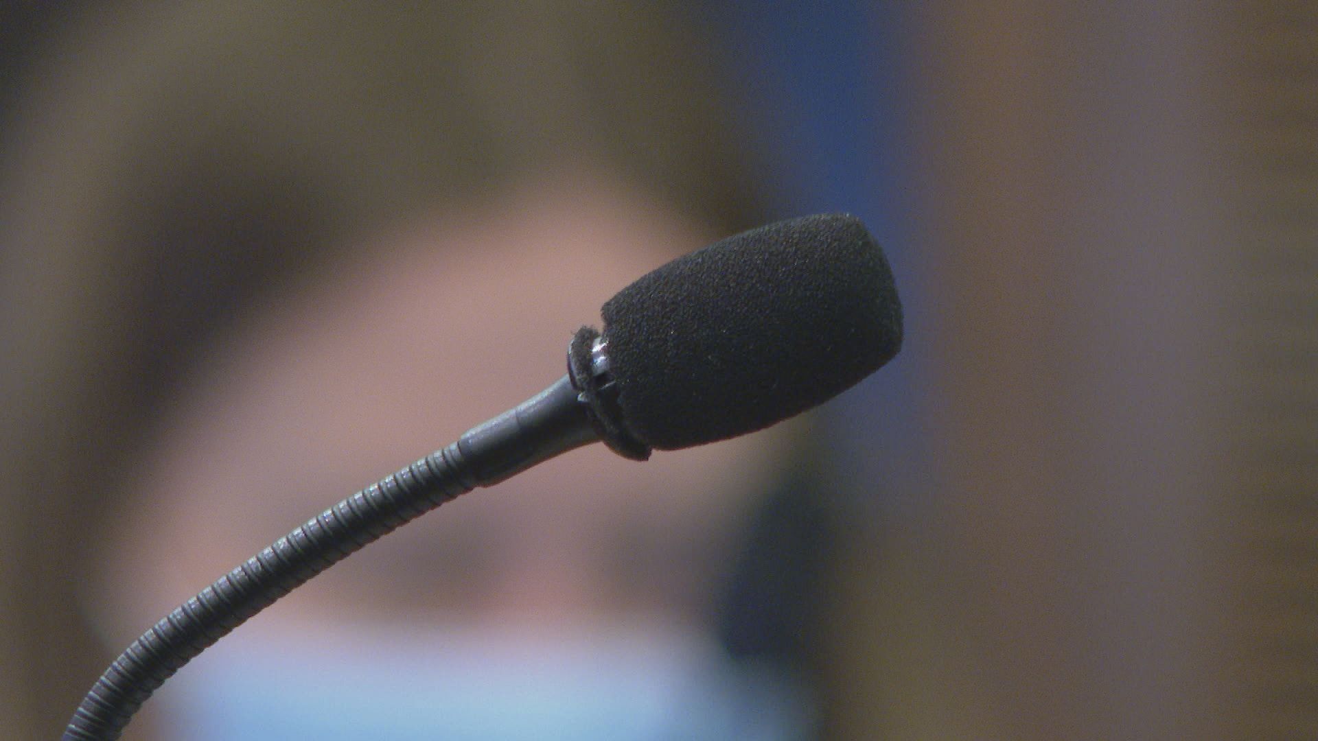 City Council proceeding with Citizen's Accountability Advisory Board