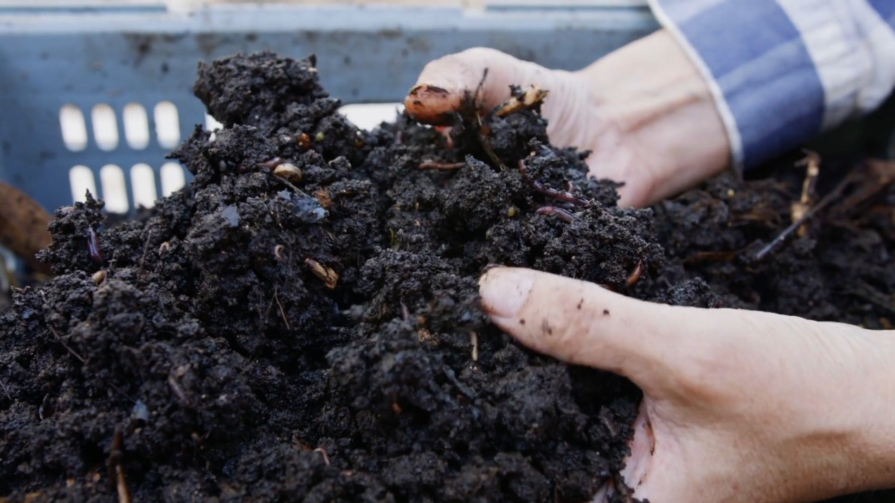 Screenshot 2026-03-16 185952.png