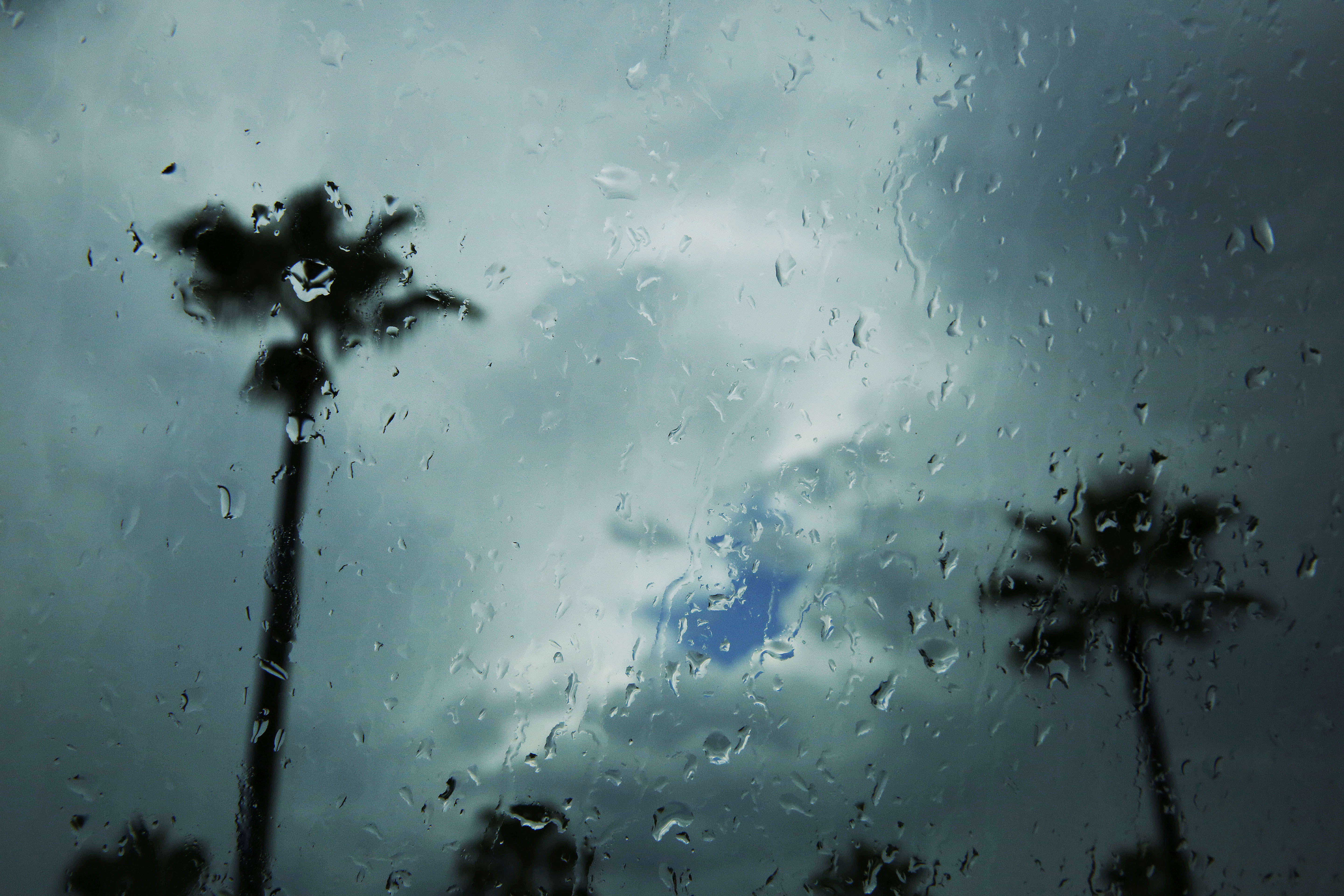 Florida rain