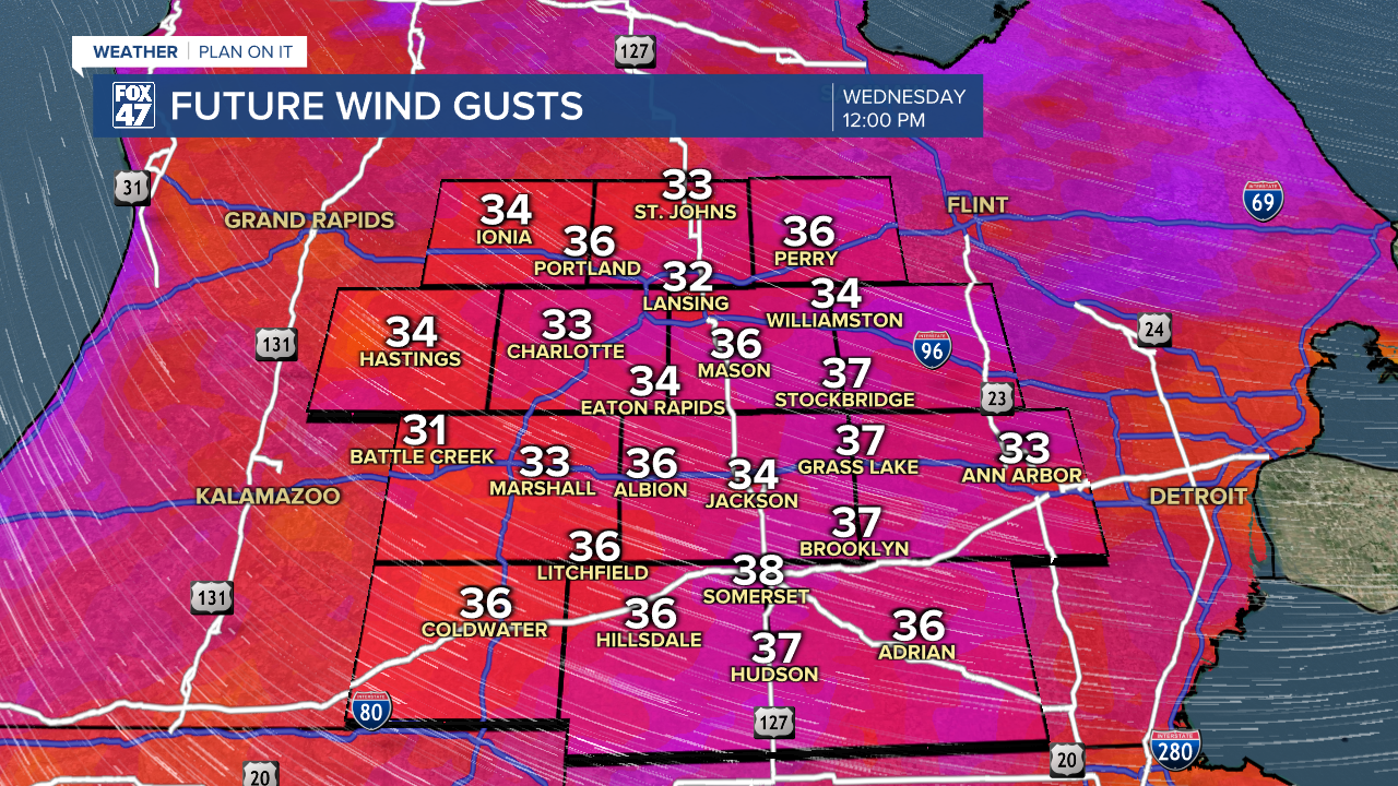 Futurecast Wind Gusts