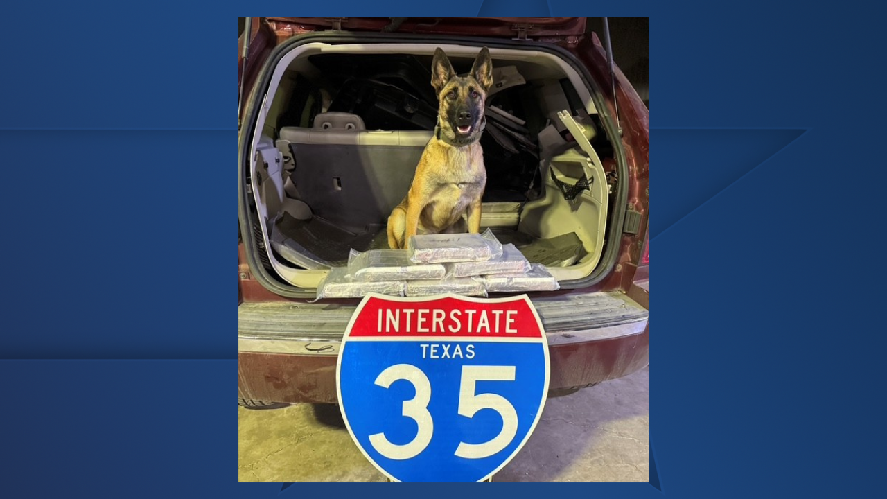texas dps k9 fentanyl bust.png