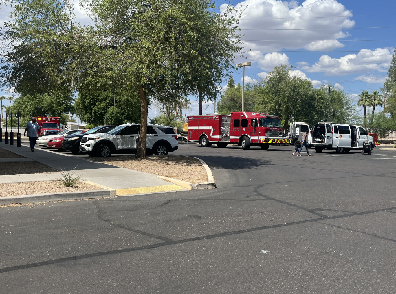 Baseline and Kyrene bee attack